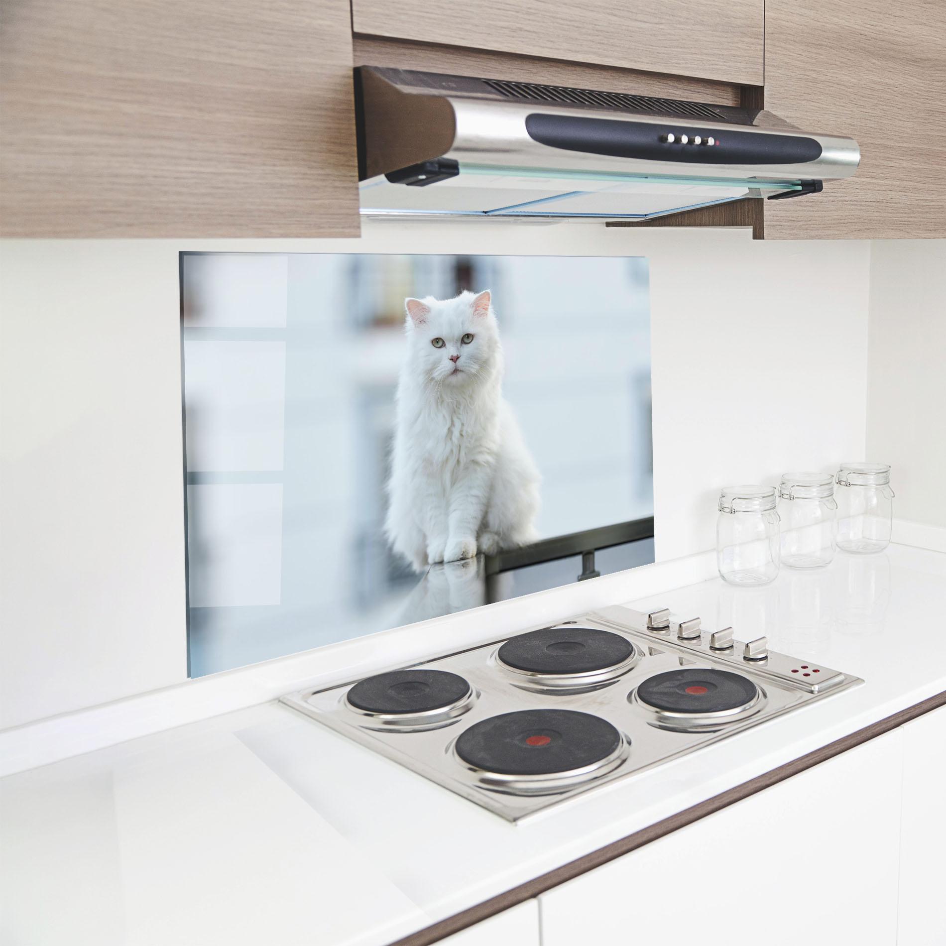 Konyhai üveg hátfal Big White Cat mockup 8
