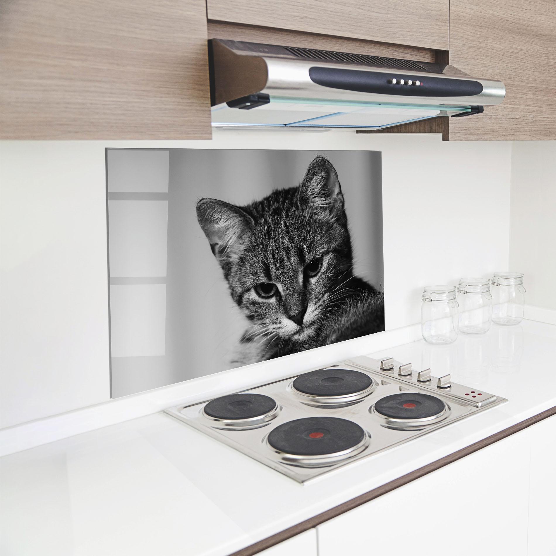 Konyhai üveg hátfal Grey Focused Cat mockup 8