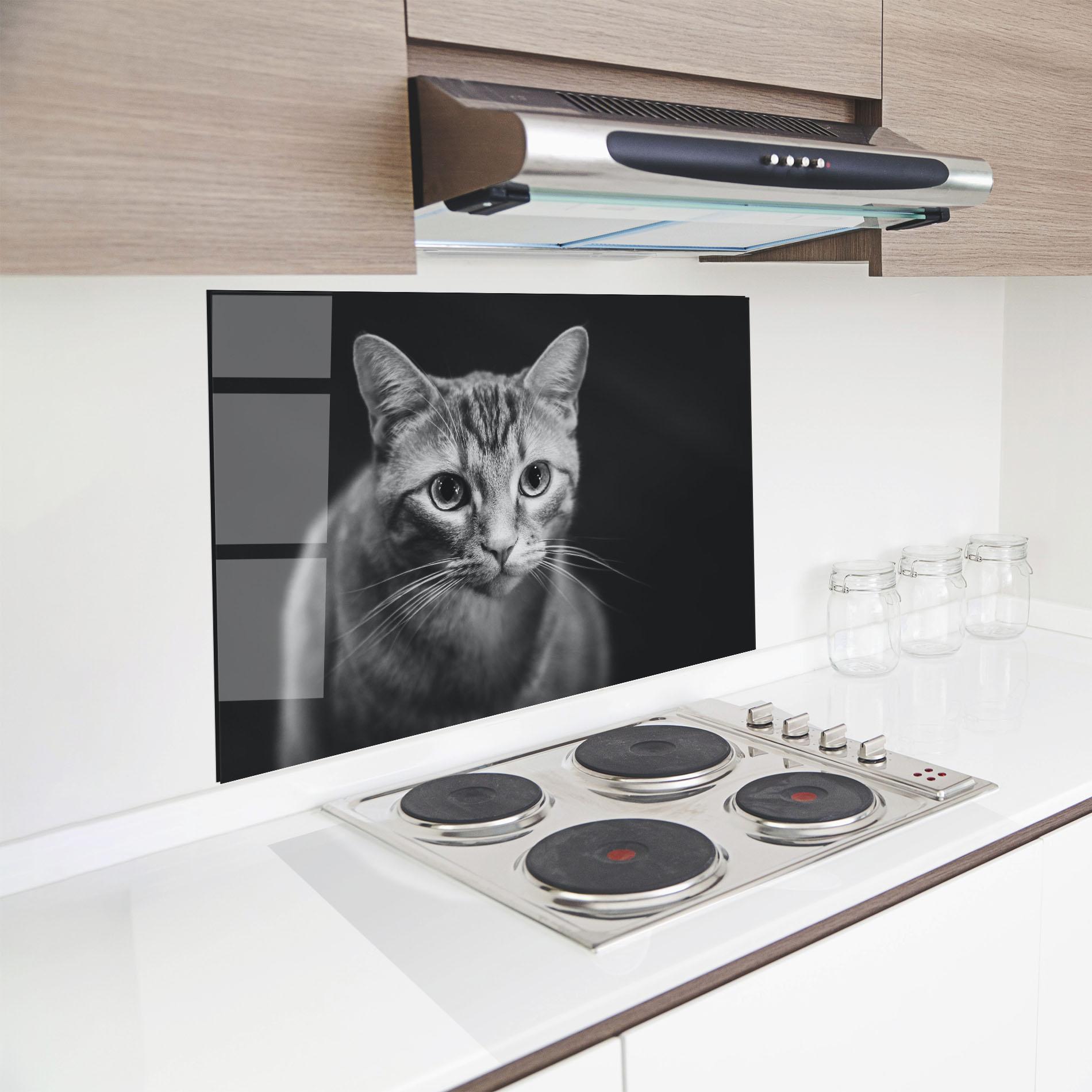 Konyhai üveg hátfal Grey Kitty On Black mockup 8