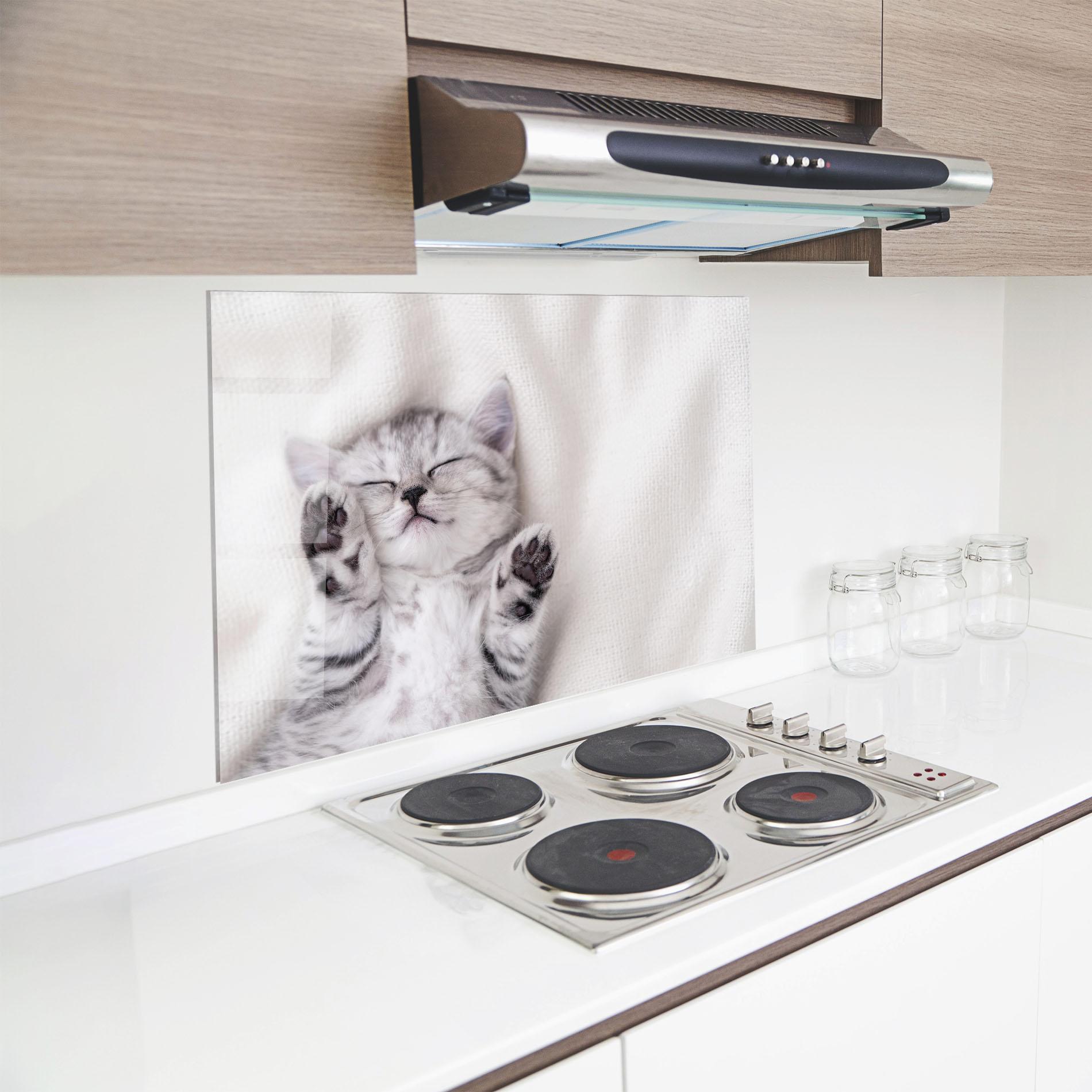 Konyhai üveg hátfal Pretty Baby Cat mockup 8