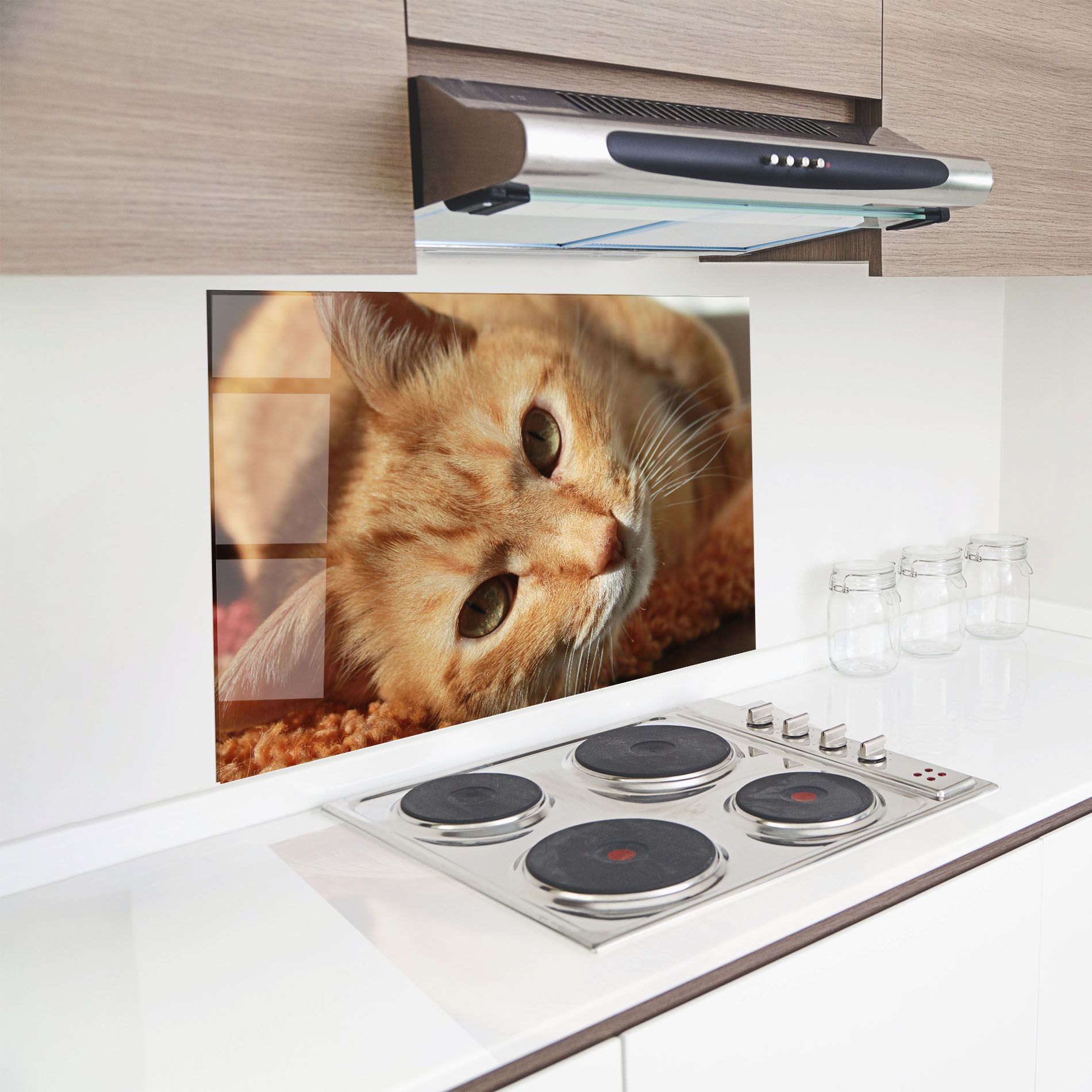 Pretty Orange Cat mockup 8