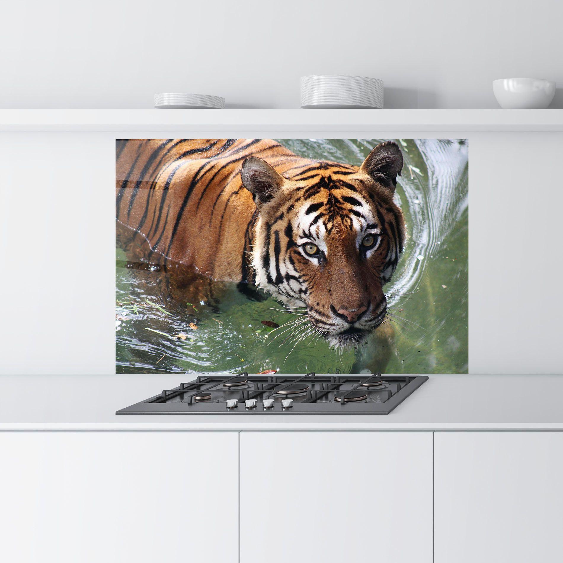 Tiger Swimming mockup 9