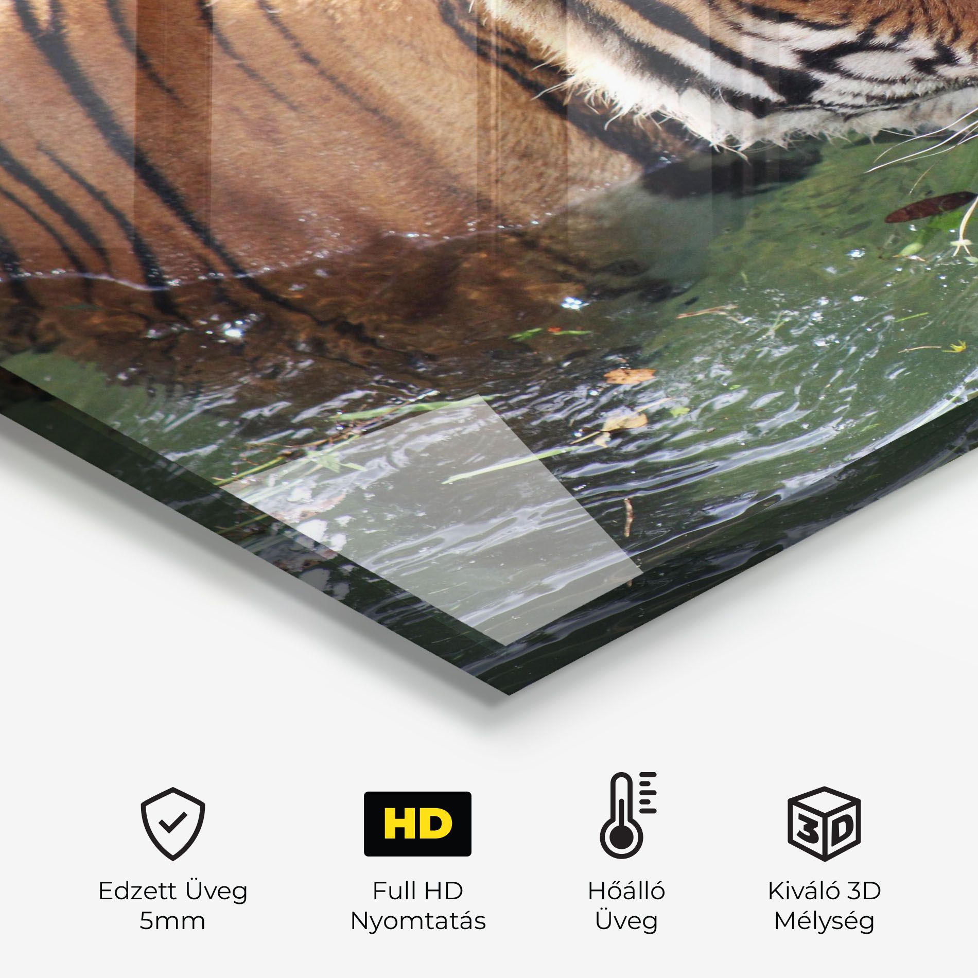 Tiger Swimming mockup 2