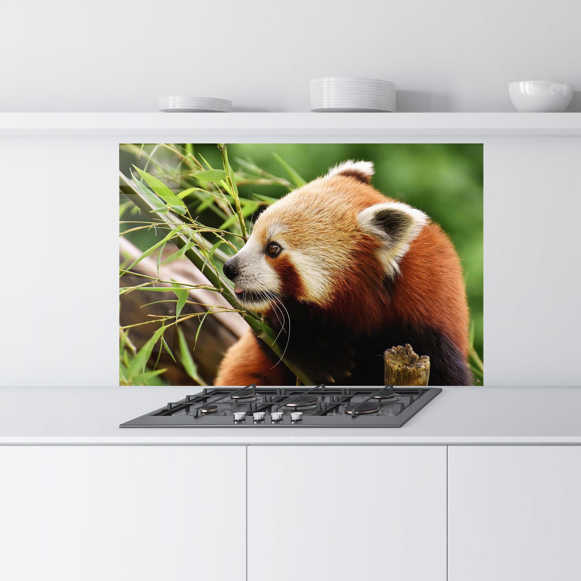 Konyhai üveg hátfal Cute Red Panda mockup 9