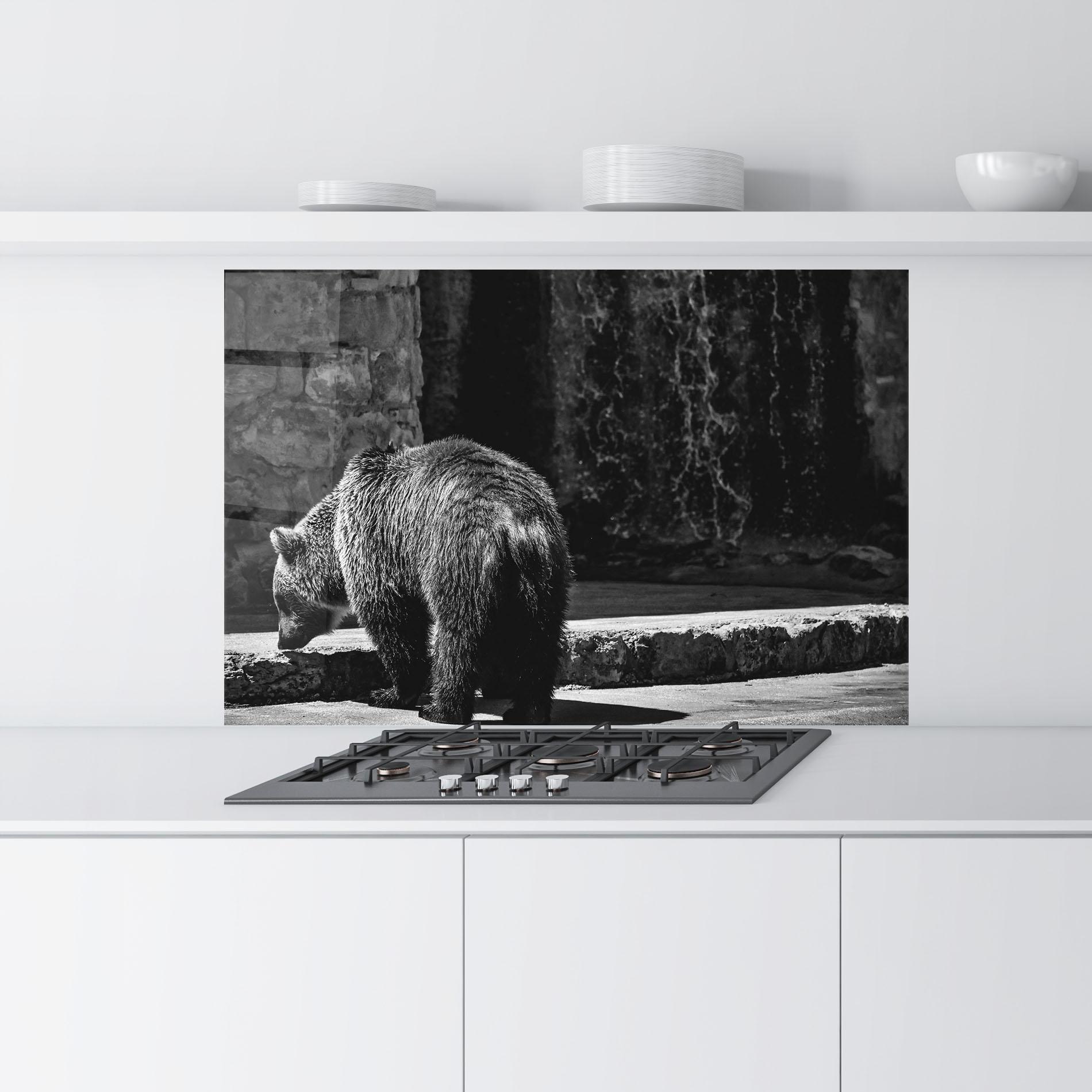 Konyhai üveg hátfal Grey Bear mockup 9