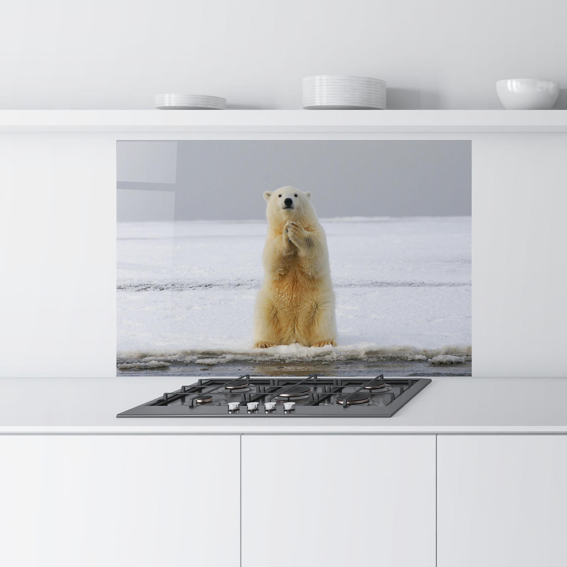 Konyhai üveg hátfal Icebear Praying mockup 9