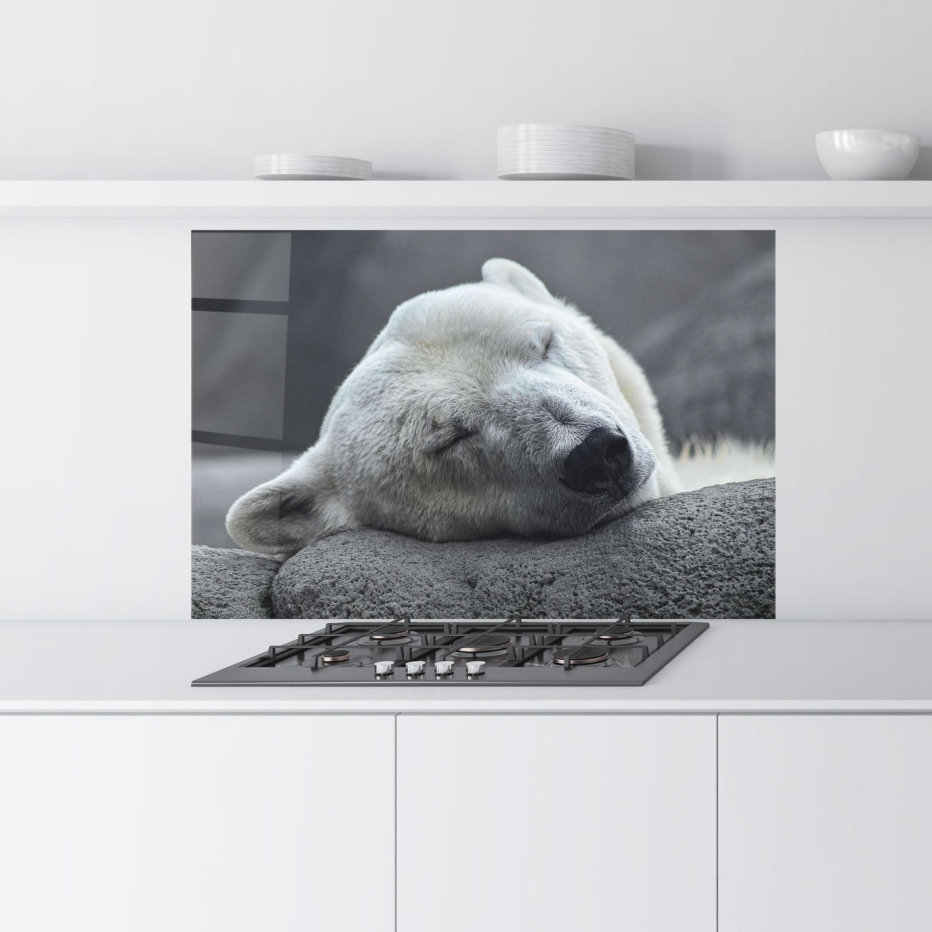 Konyhai üveg hátfal Icebear Sleeping mockup 9