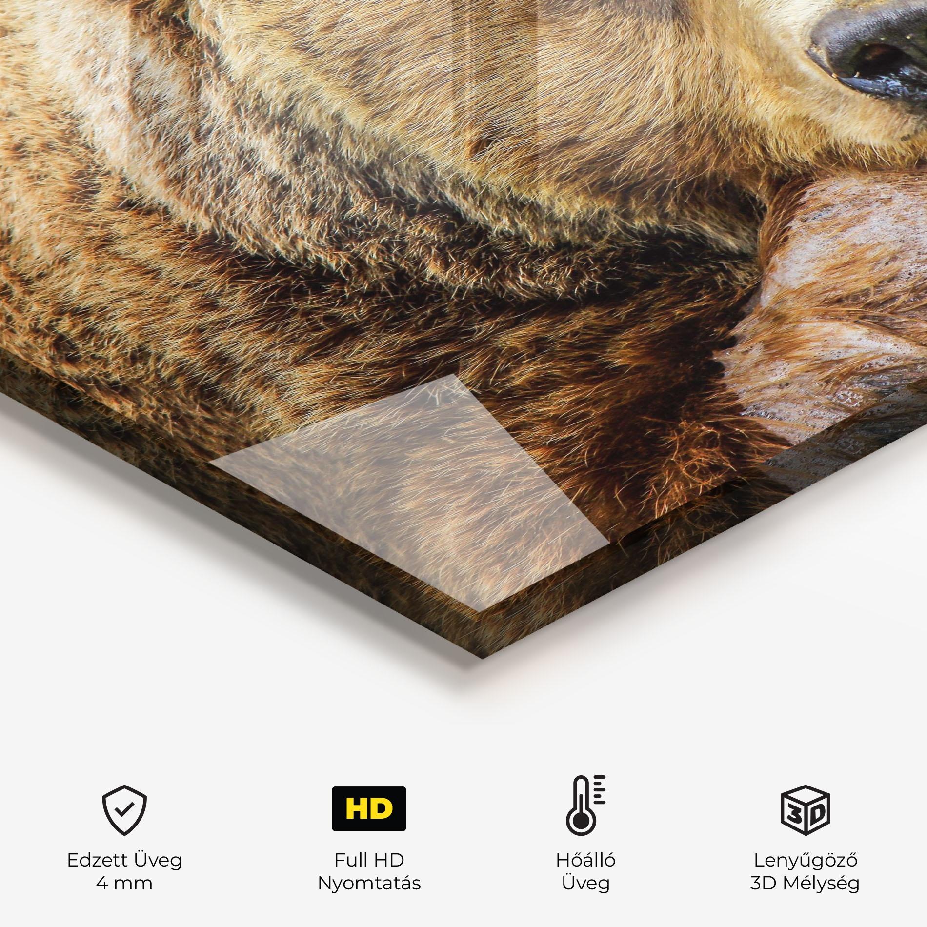 Konyhai üveg hátfal Bear mockup 2