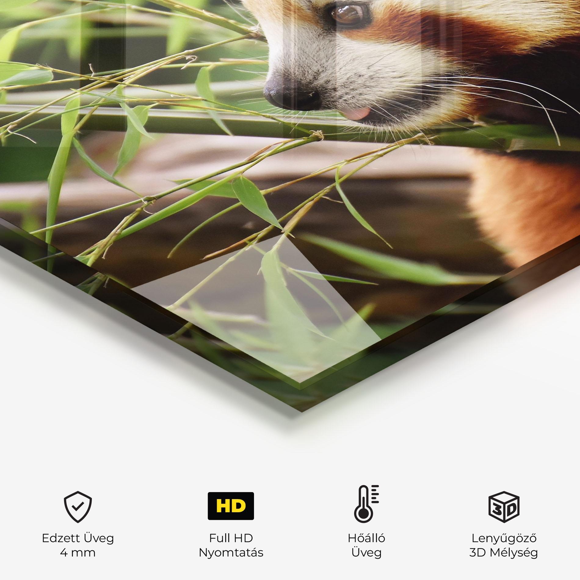 Konyhai üveg hátfal Cute Red Panda mockup 2