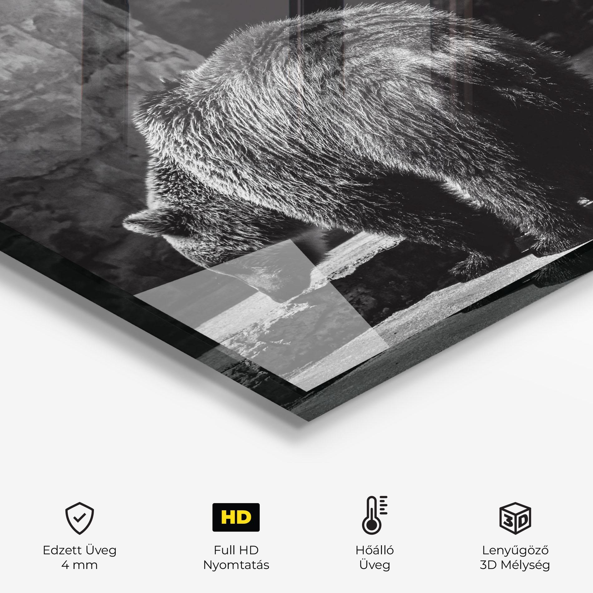 Konyhai üveg hátfal Grey Bear mockup 2