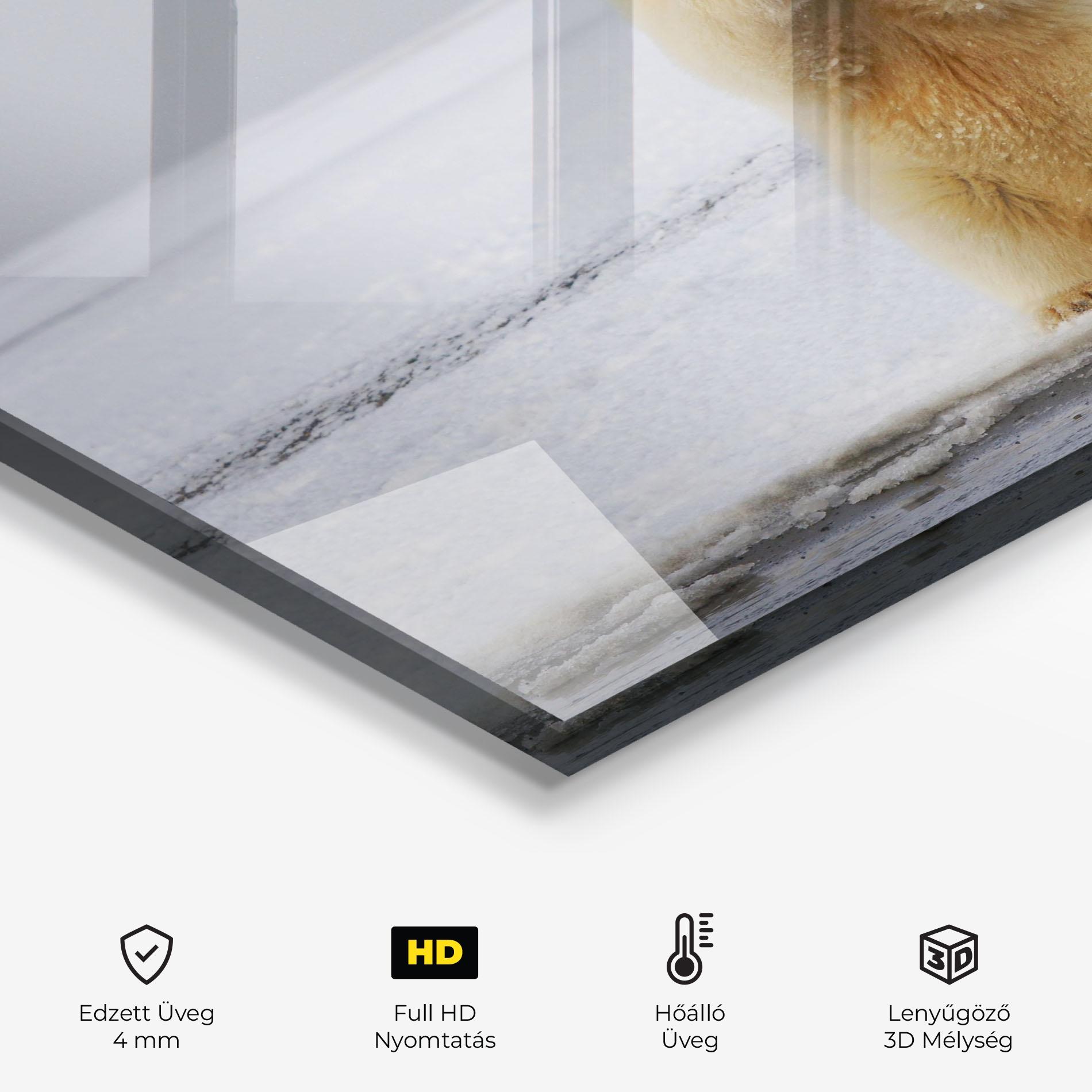 Konyhai üveg hátfal Icebear Praying mockup 2