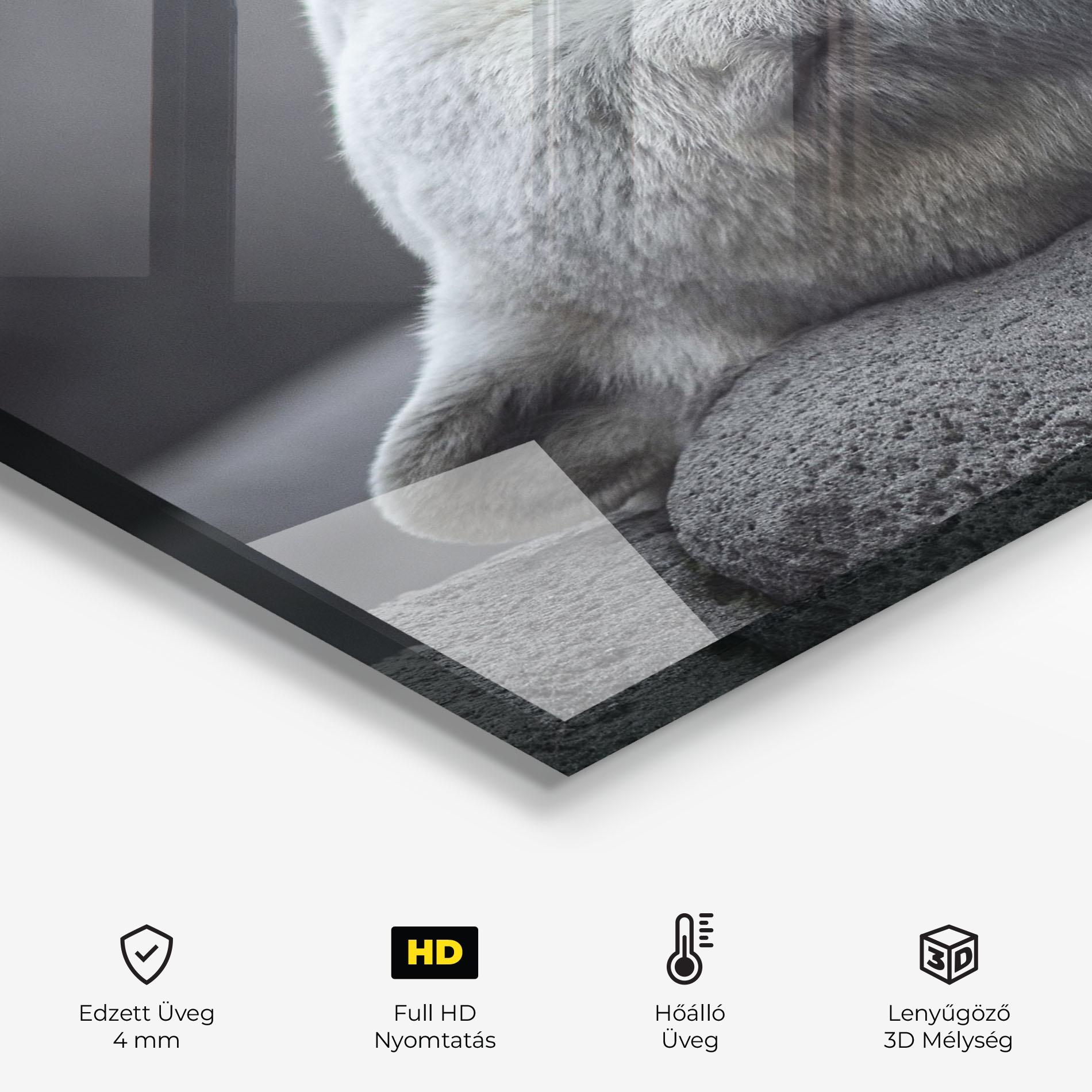 Konyhai üveg hátfal Icebear Sleeping mockup 2