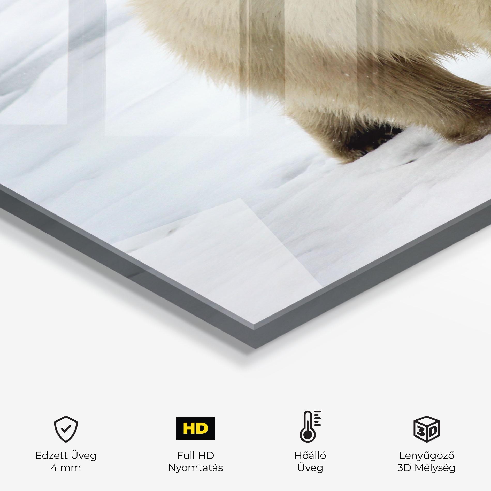 Konyhai üveg hátfal Icebear Walking mockup 2