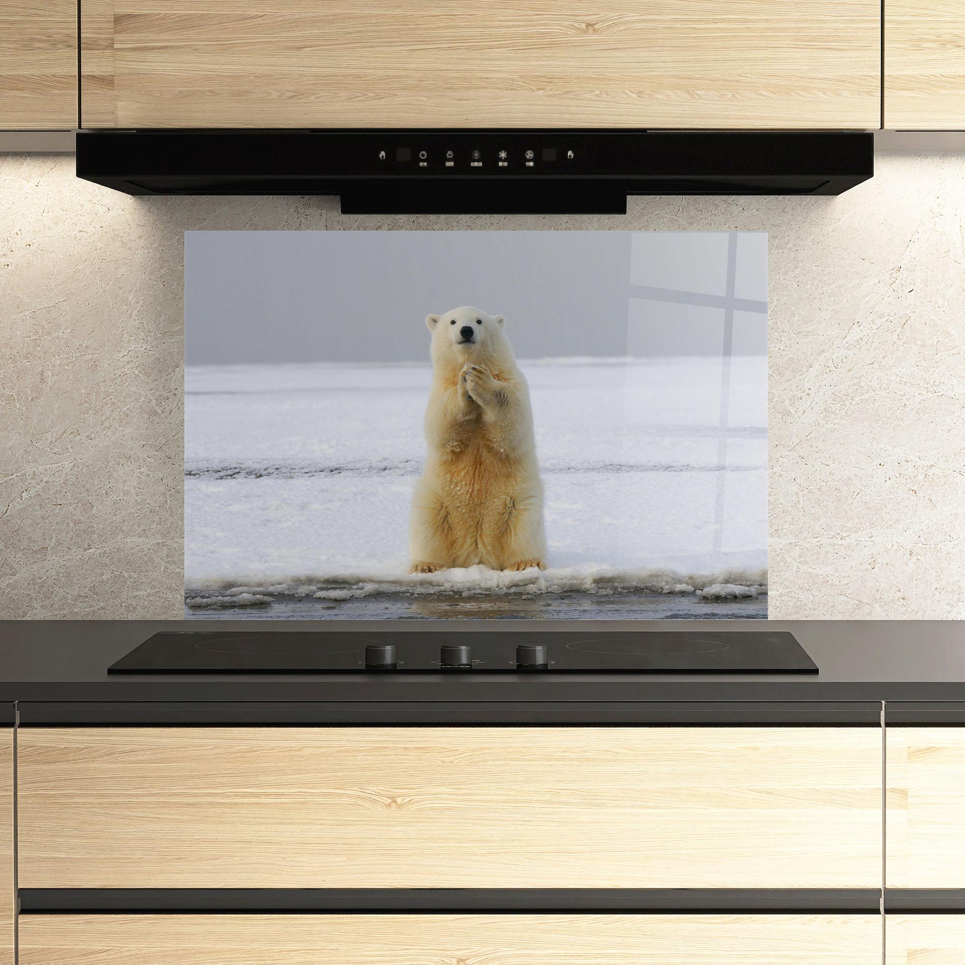 Konyhai üveg hátfal Icebear Praying mockup 3