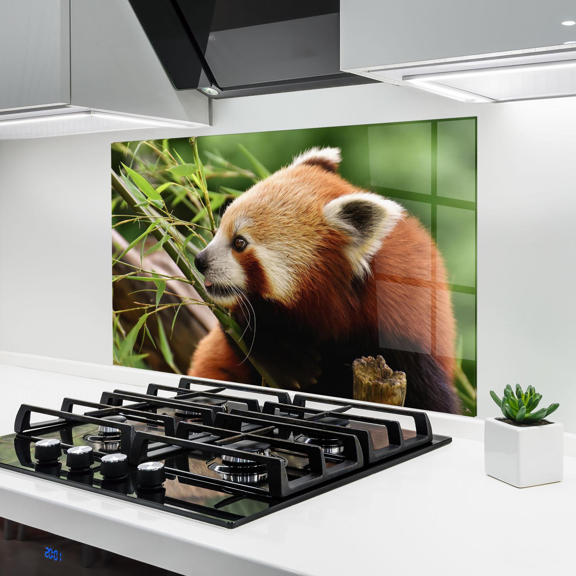 Konyhai üveg hátfal Cute Red Panda mockup 6