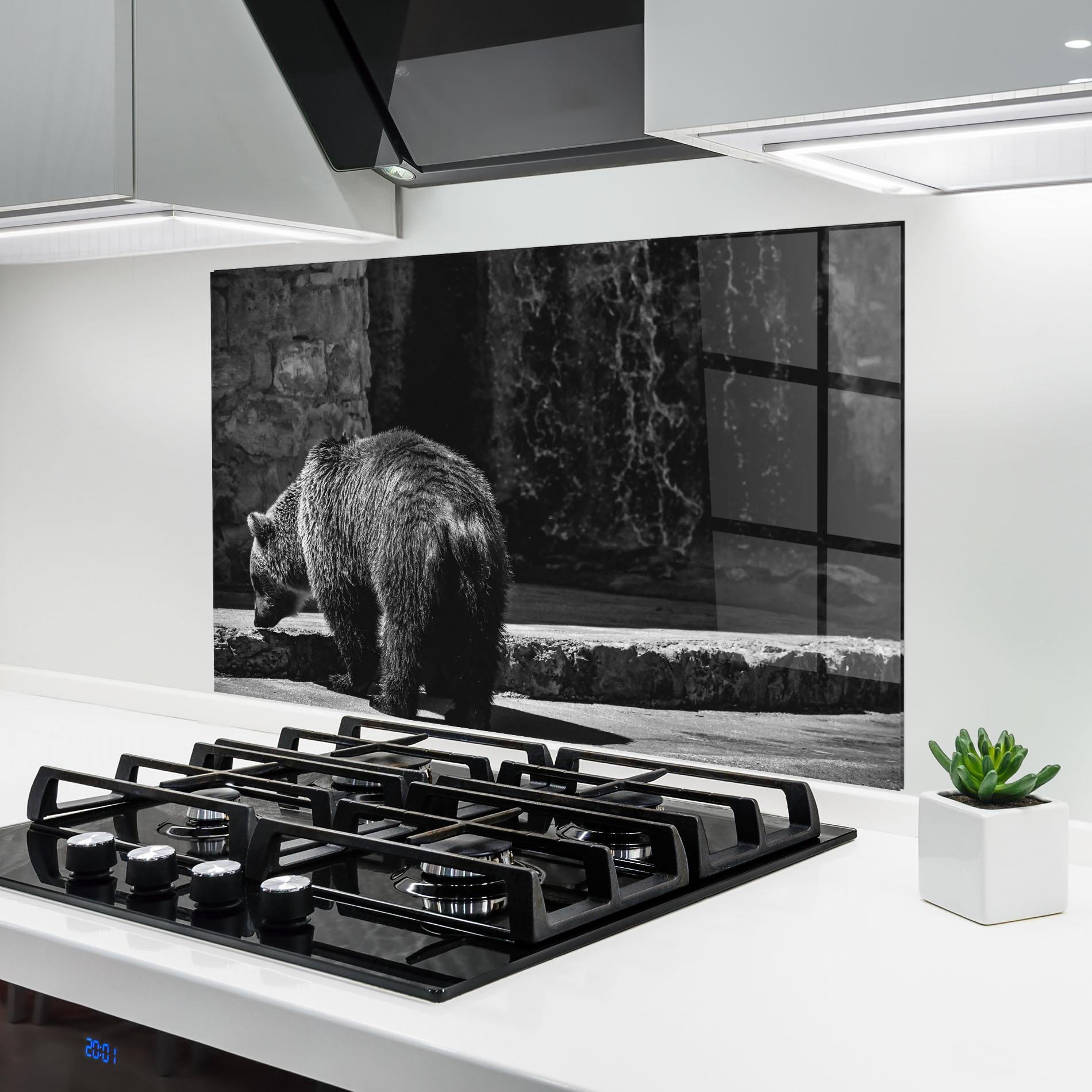 Konyhai üveg hátfal Grey Bear mockup 6