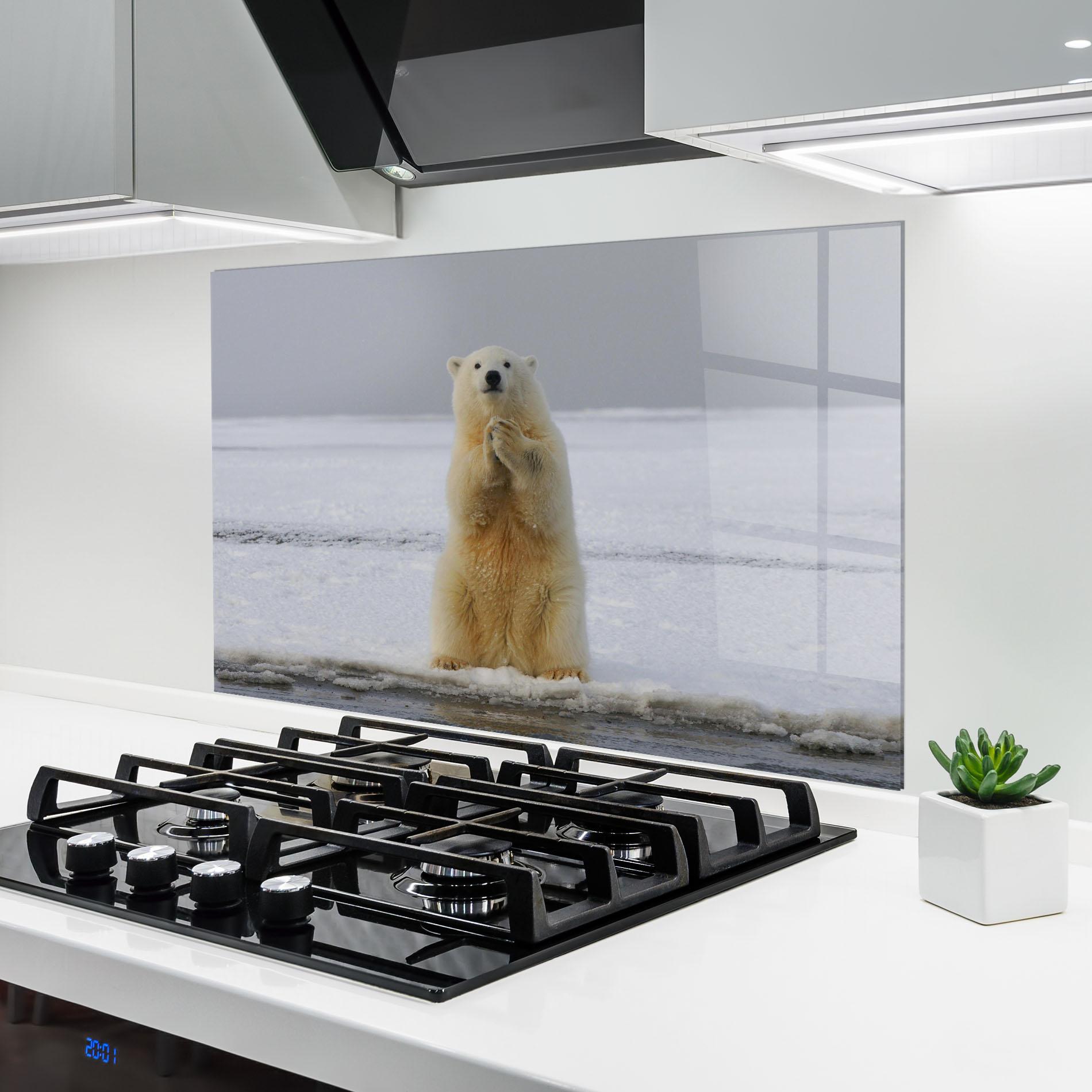 Konyhai üveg hátfal Icebear Praying mockup 6