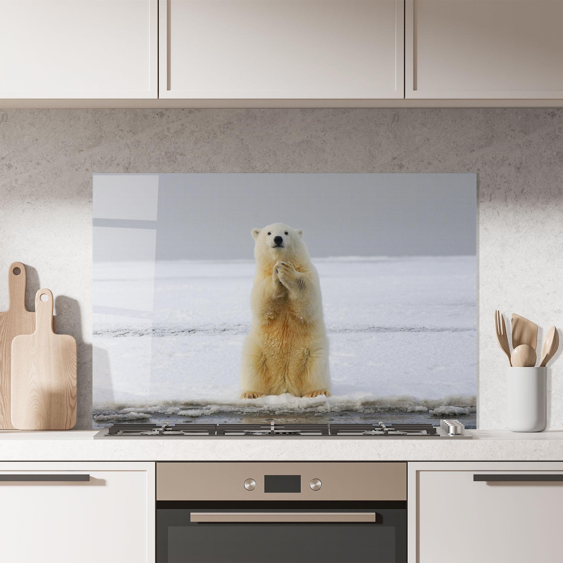 Konyhai üveg hátfal Icebear Praying mockup 7