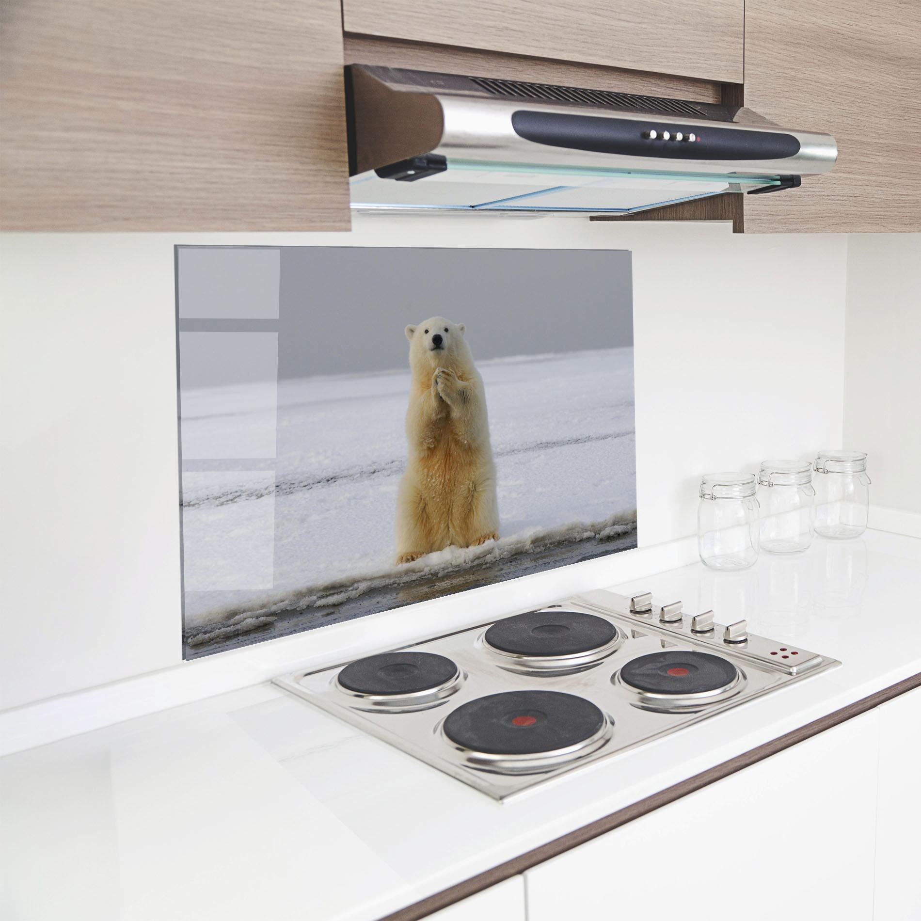 Konyhai üveg hátfal Icebear Praying mockup 8