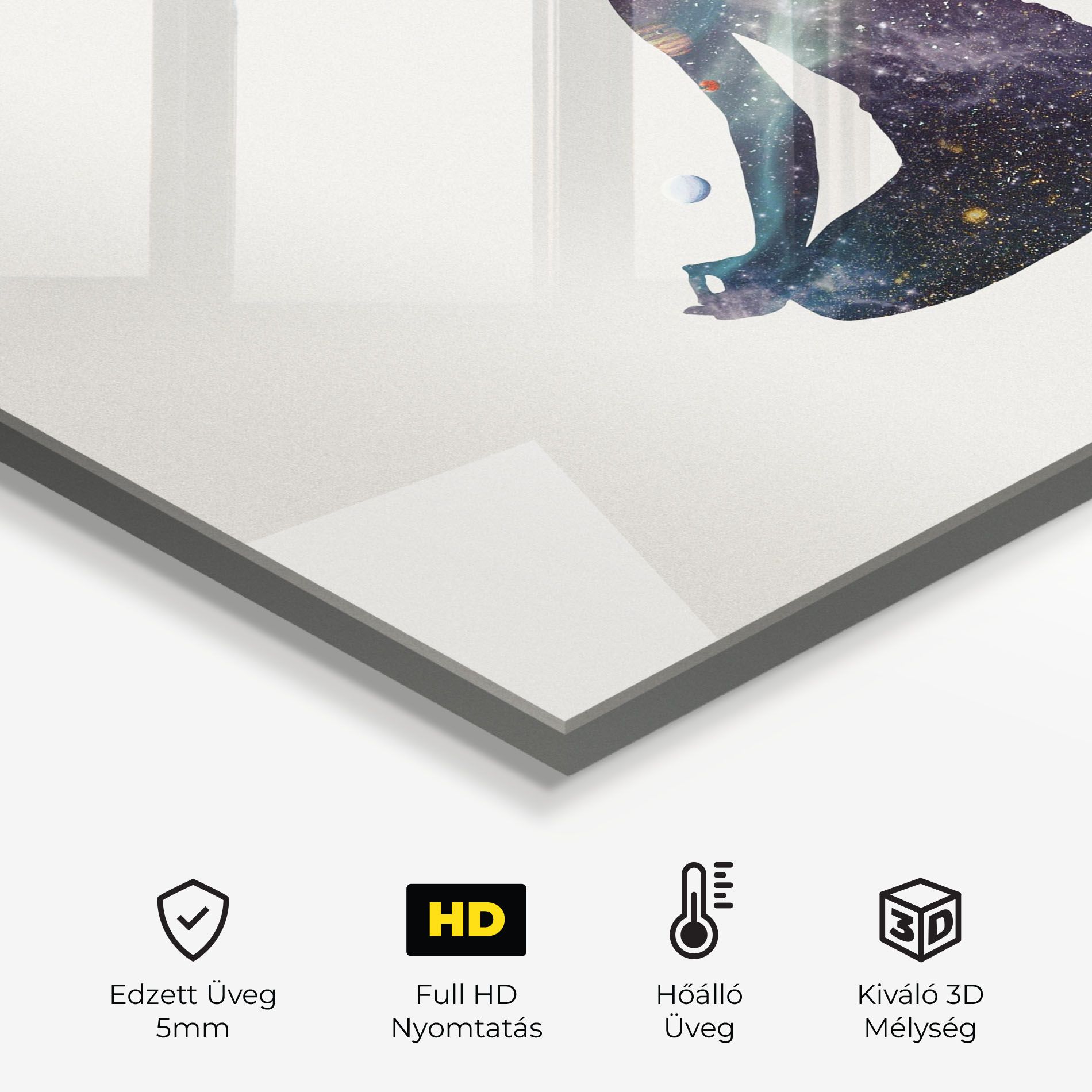 Galaxy Woman Shilouette mockup 2