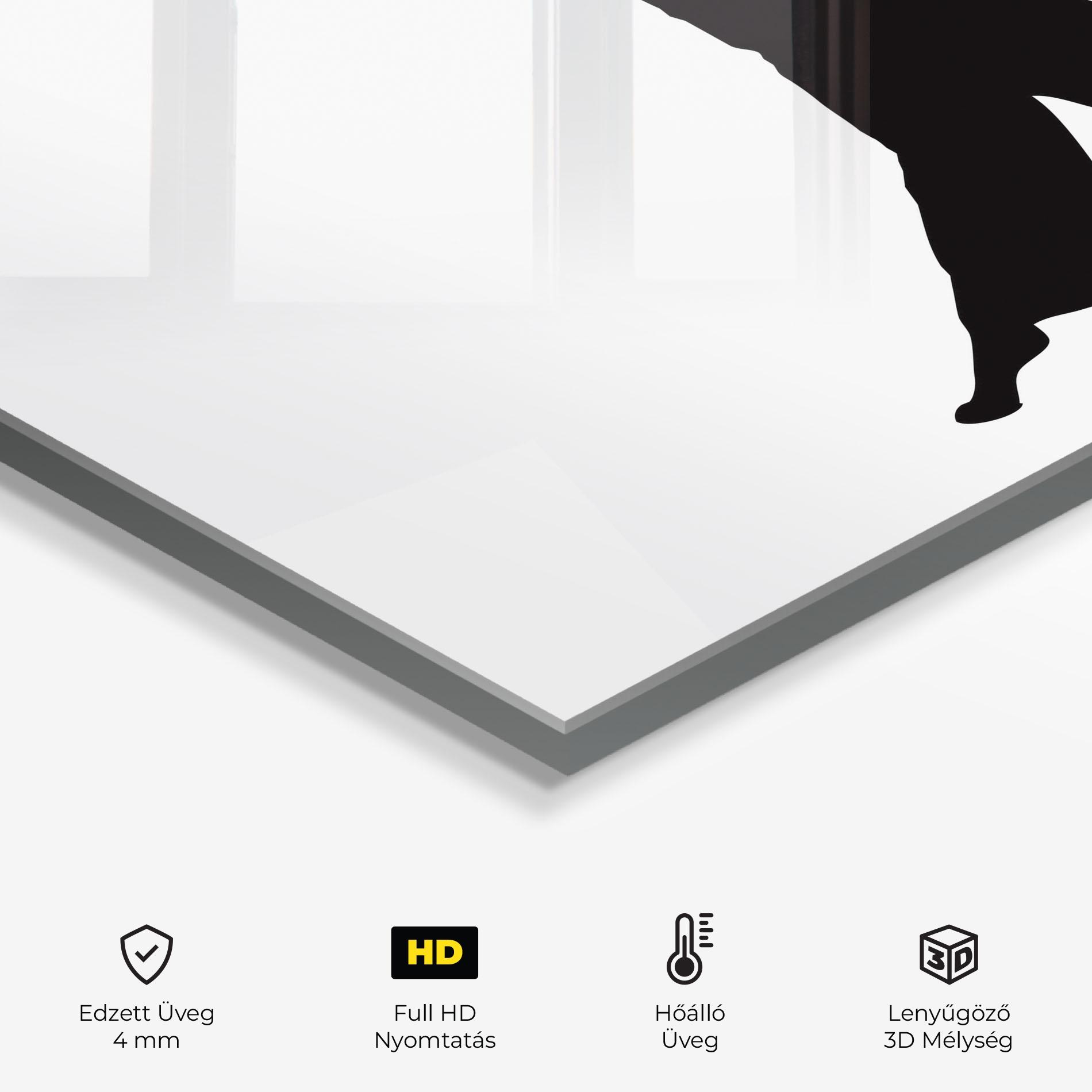 Konyhai üveg hátfal Dance Silhouette mockup 2