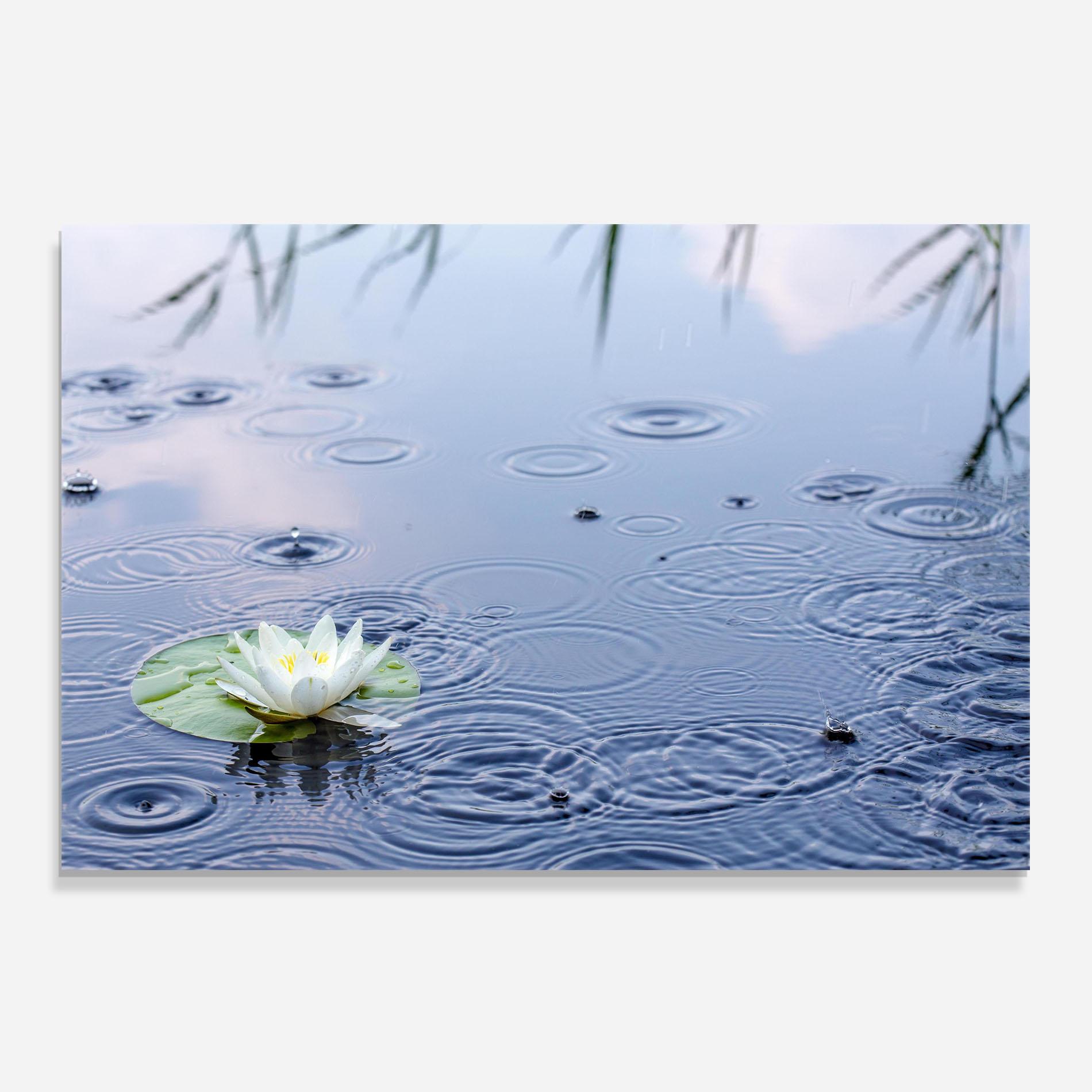 Konyhai üveg hátfal Clear Lake Rain mockup 0