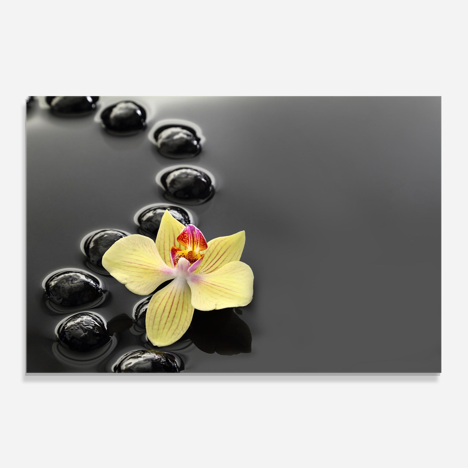 Orchid In Water mockup 0