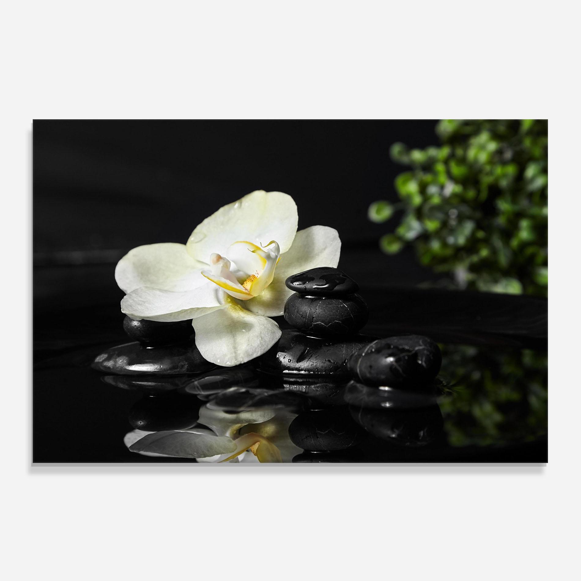 Konyhai üveg hátfal White Spa Flower mockup 0
