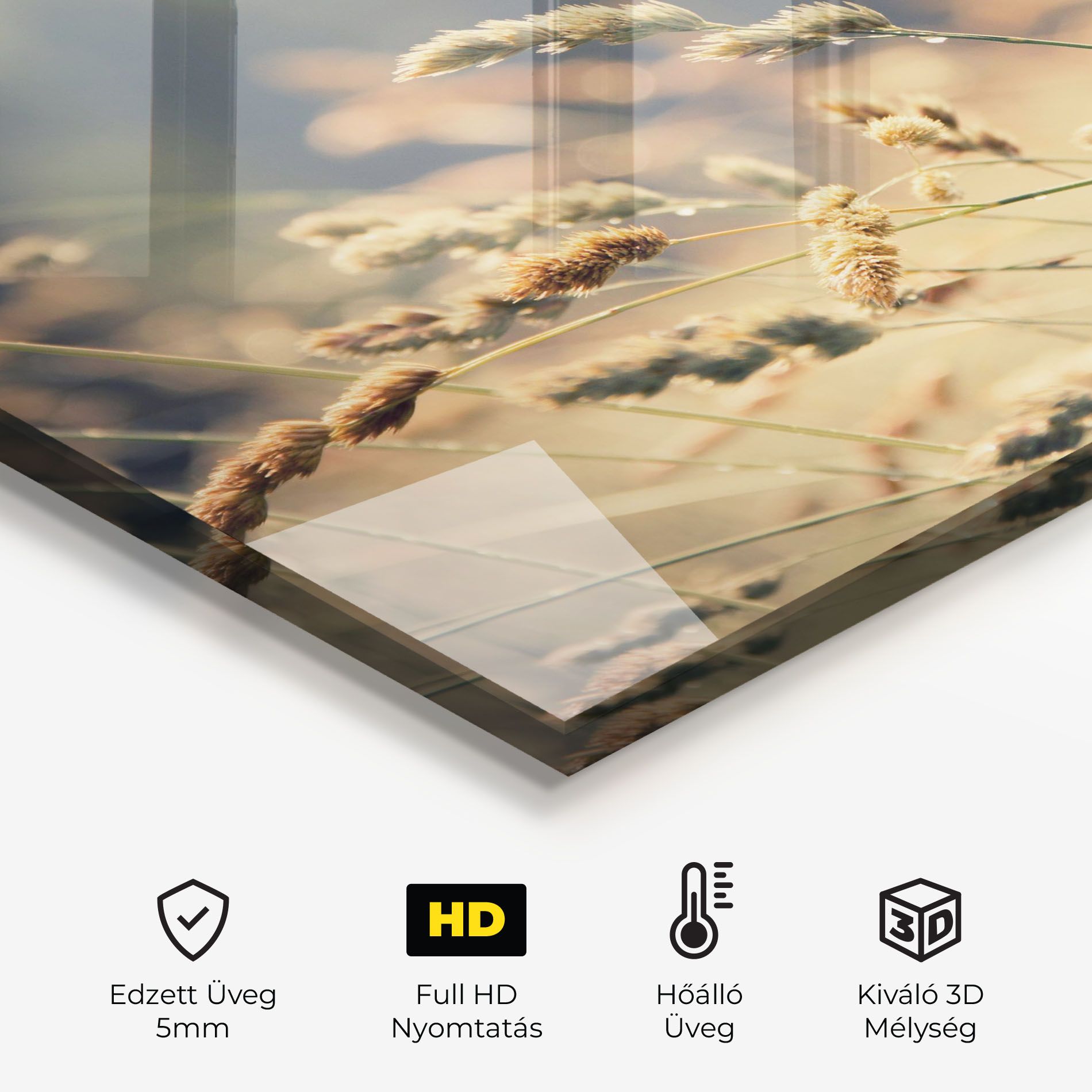 Cream Nature Plants mockup 2