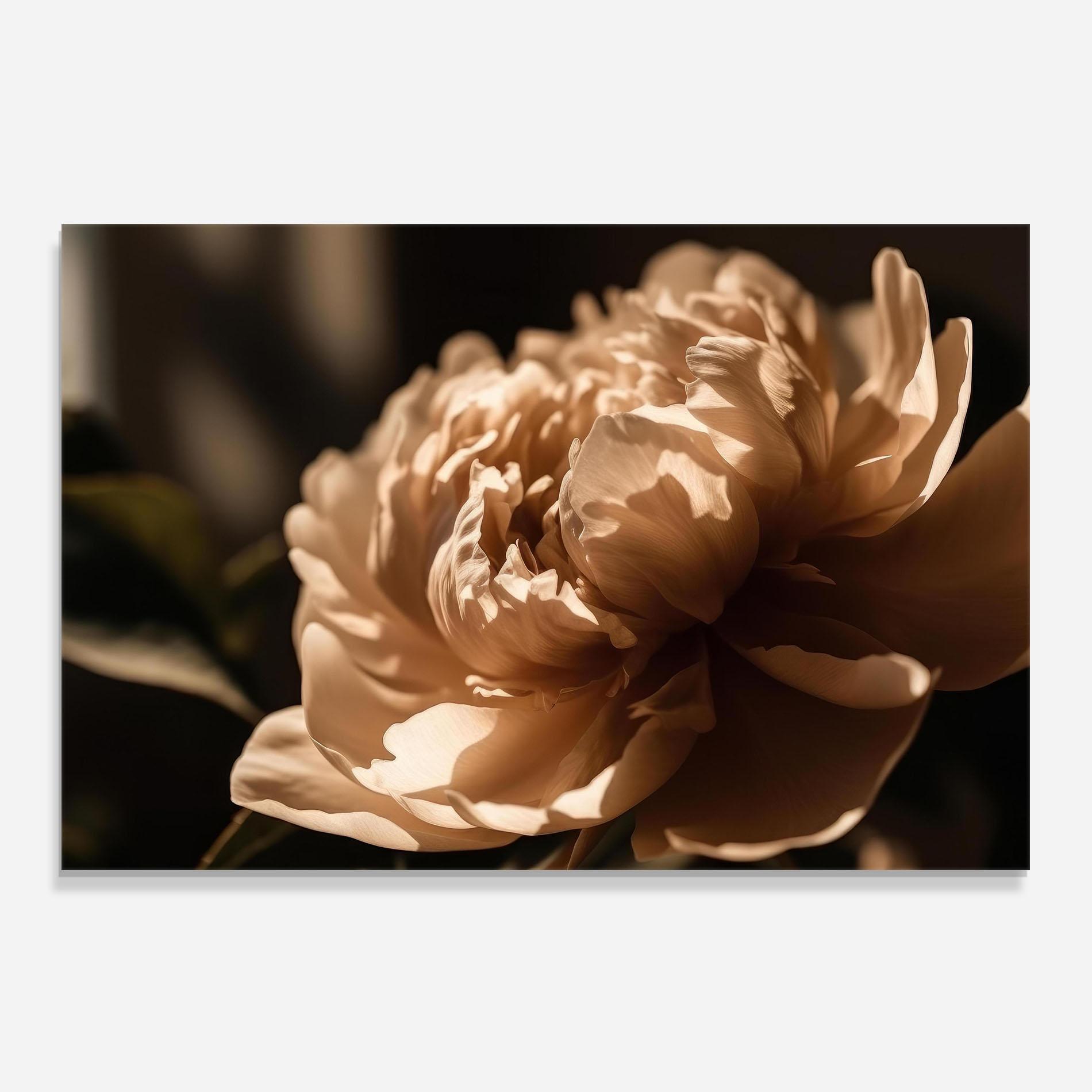 Konyhai üveg hátfal Cream Peony mockup 0