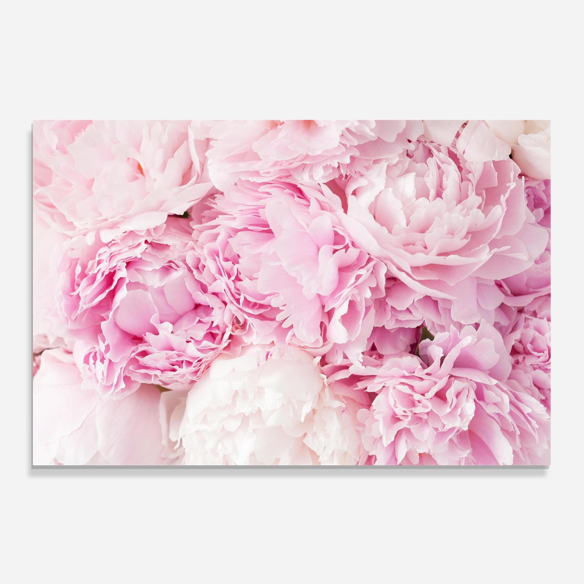 Konyhai üveg hátfal Dreamy Pink Pastel Peony mockup 0