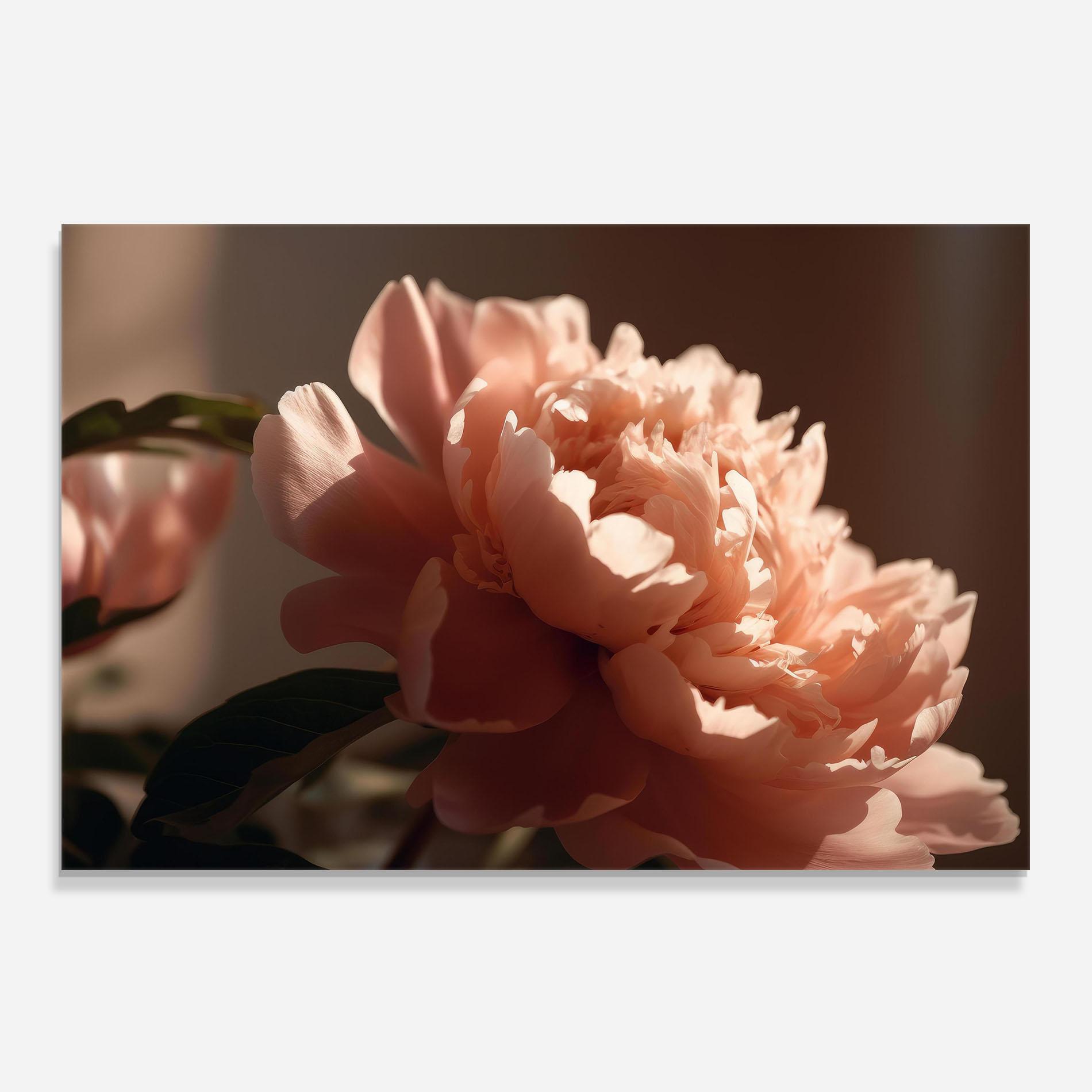 Konyhai üveg hátfal Light Orange Peony View mockup 0