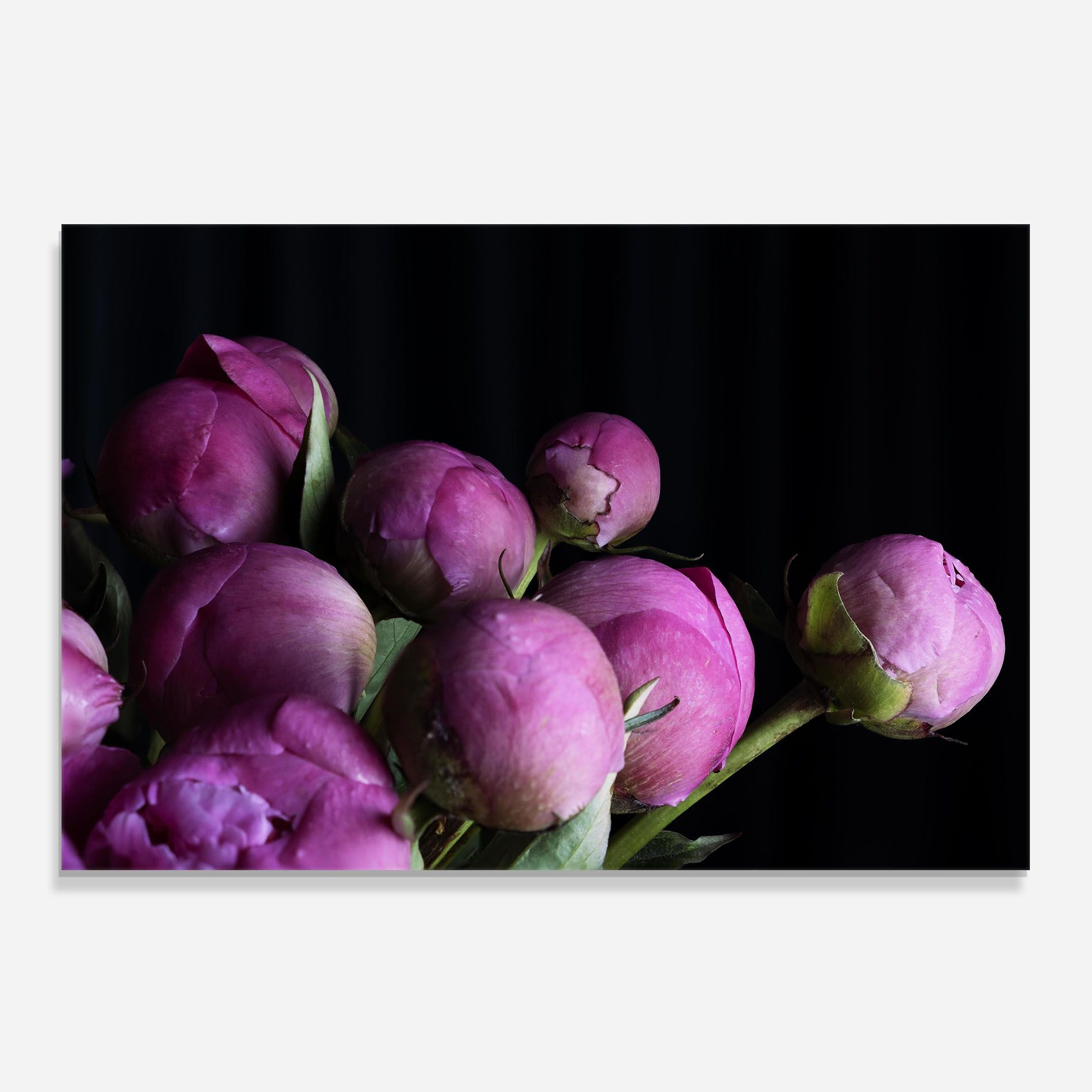 Peony Buds mockup 0