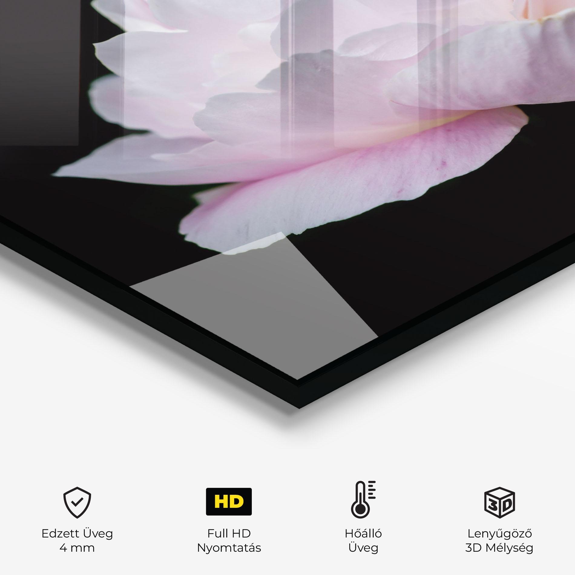 Konyhai üveg hátfal Pastel Peony On Black mockup 2