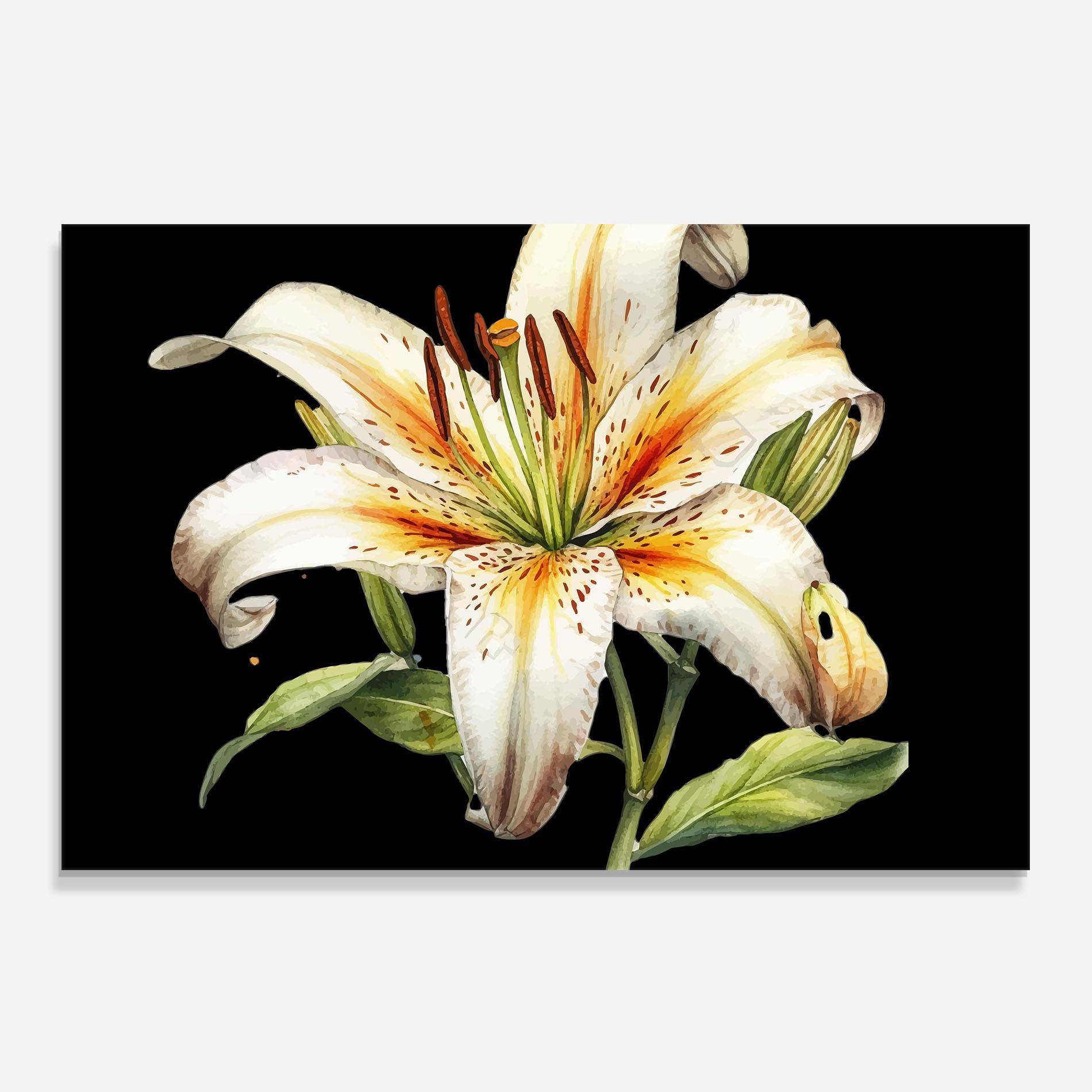Konyhai üveg hátfal Beautiful White Lily mockup 0
