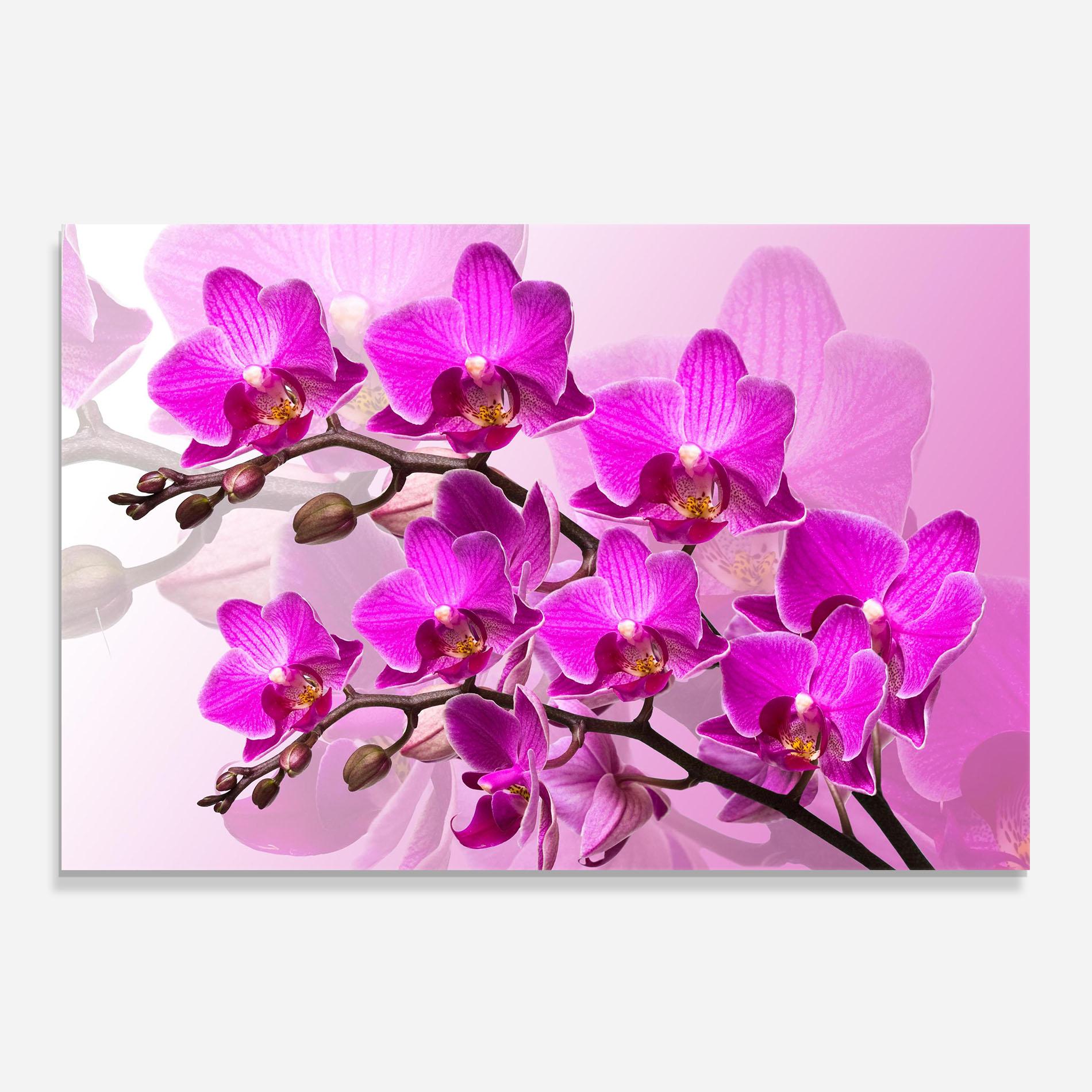 Konyhai üveg hátfal Flori Roz mockup 0