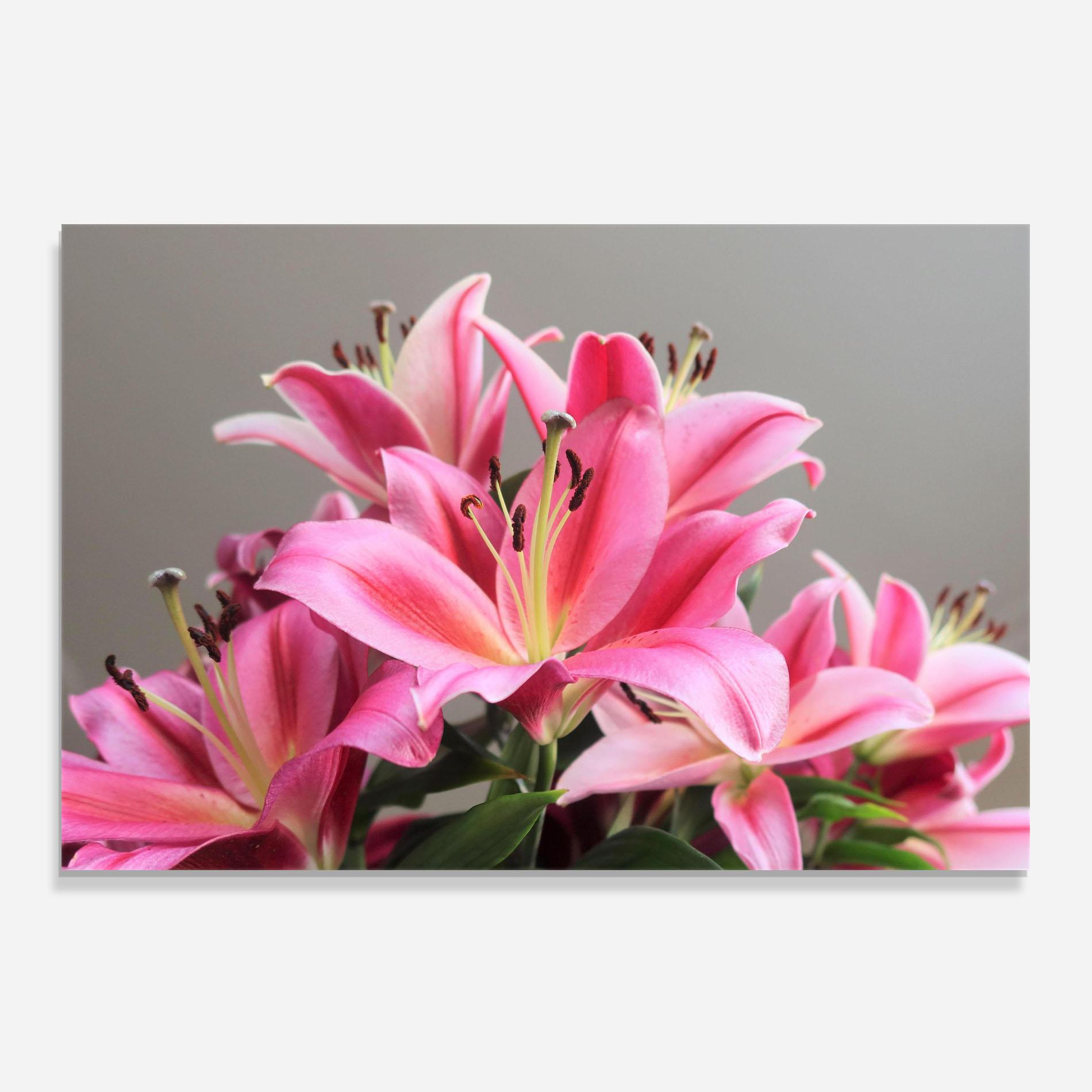 Konyhai üveg hátfal Light Pink Lily View mockup 0