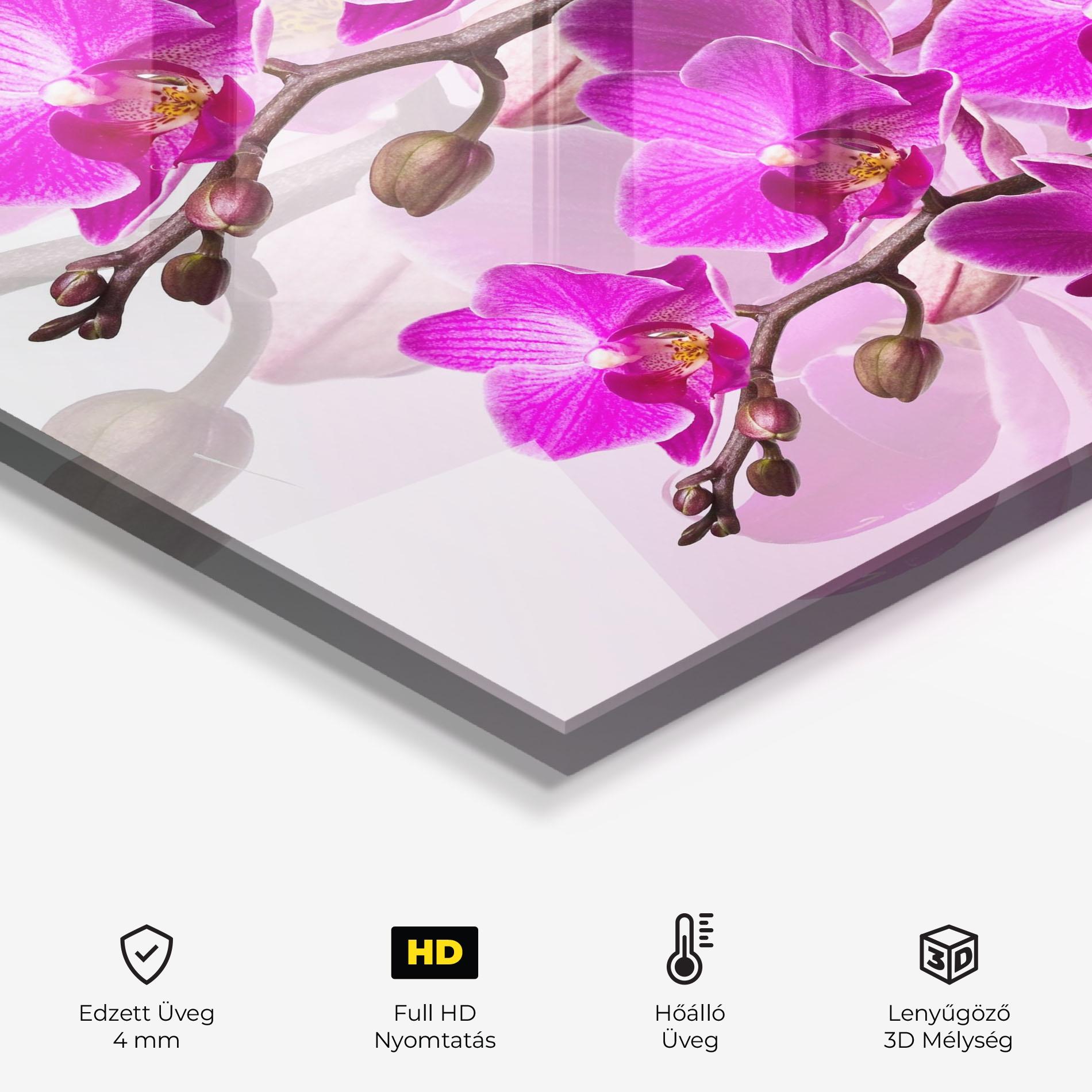 Konyhai üveg hátfal Flori Roz mockup 2