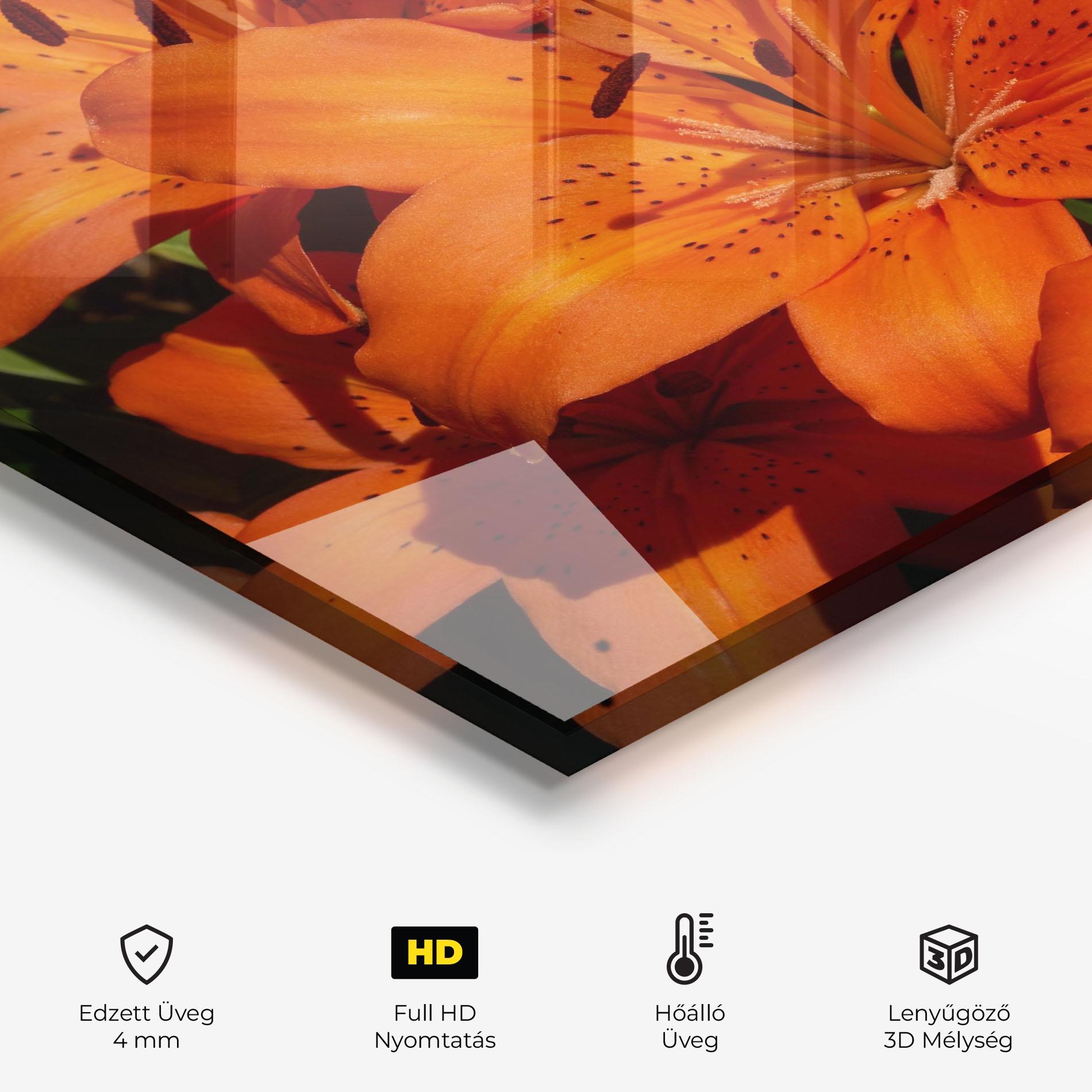 Konyhai üveg hátfal Orange Lily In The Sun mockup 2
