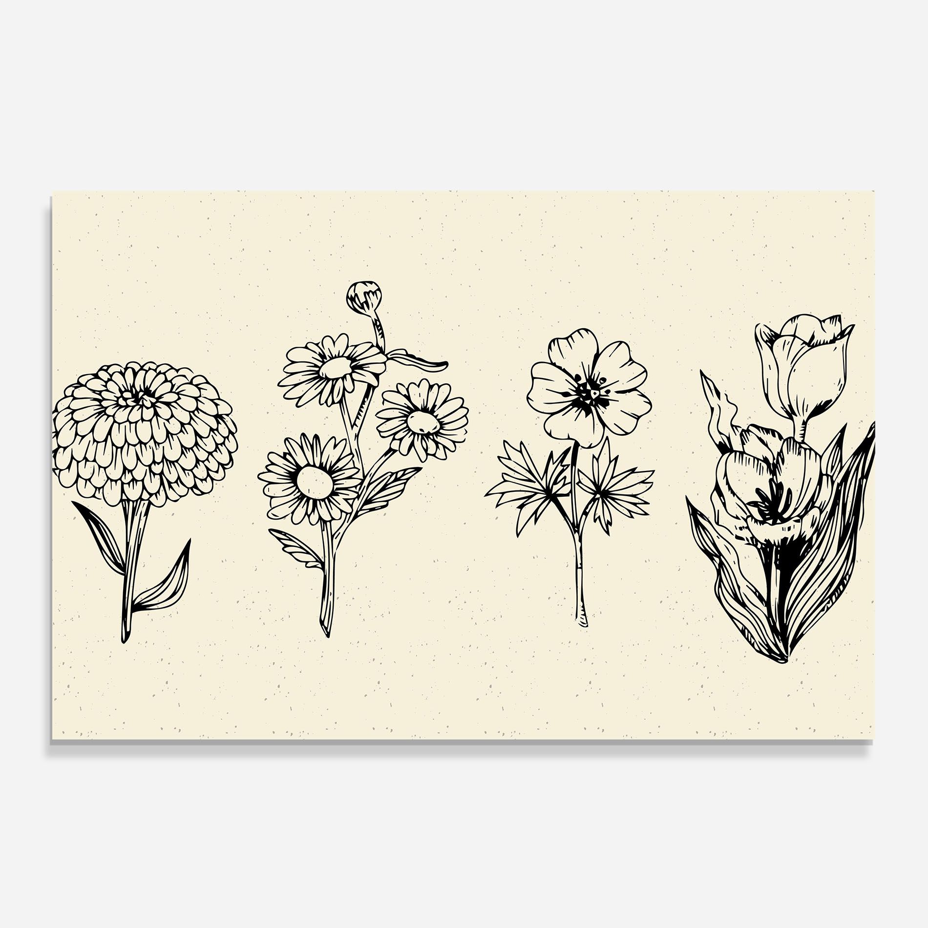 Black Line Cream mockup 0