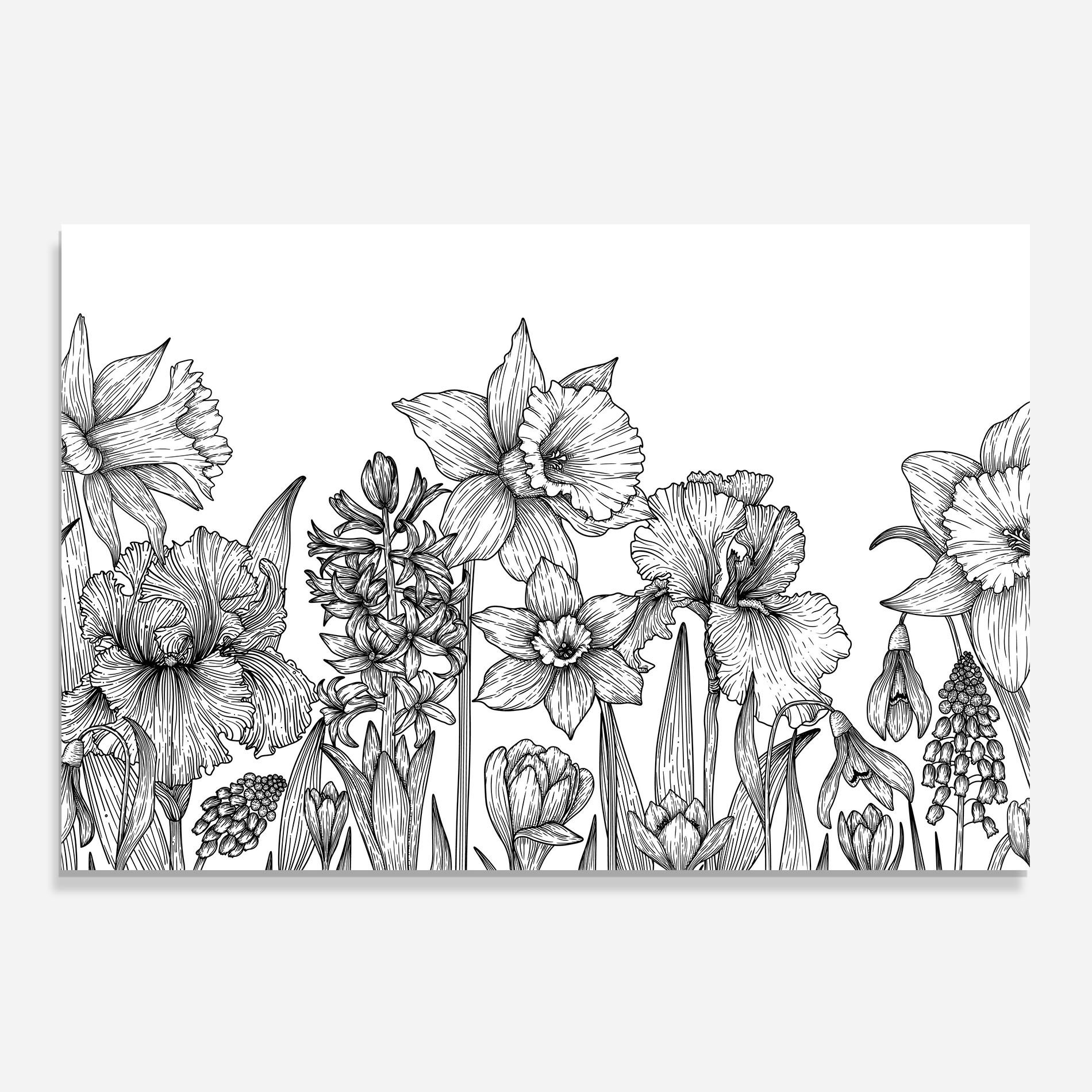 Black Line Plant mockup 0