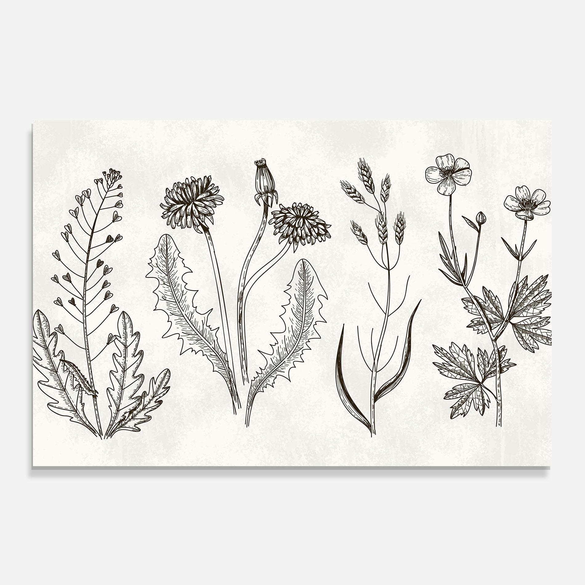 Konyhai üveg hátfal Black Line White mockup 0