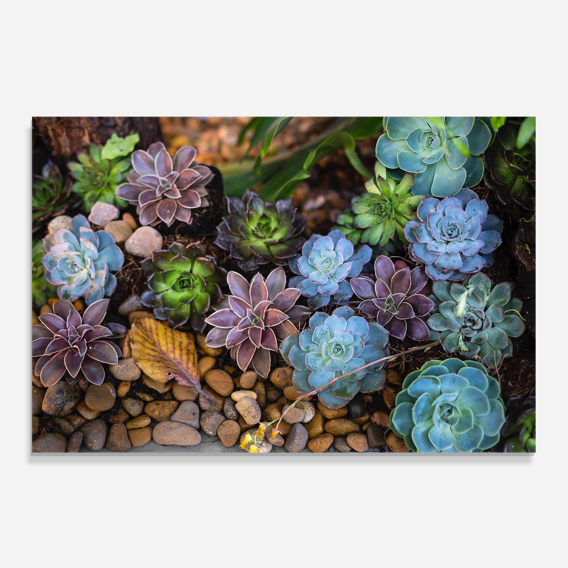 Konyhai üveg hátfal Colorful Flowers mockup 0