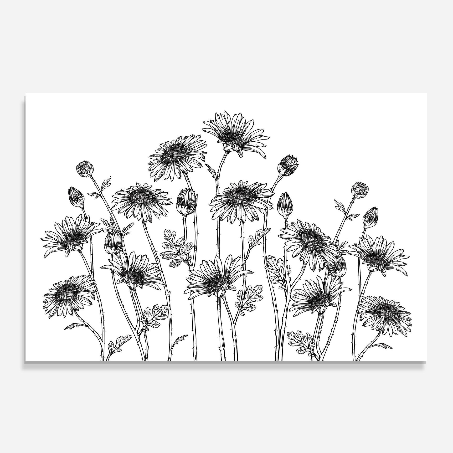 Konyhai üveg hátfal Daisy Black Line mockup 0