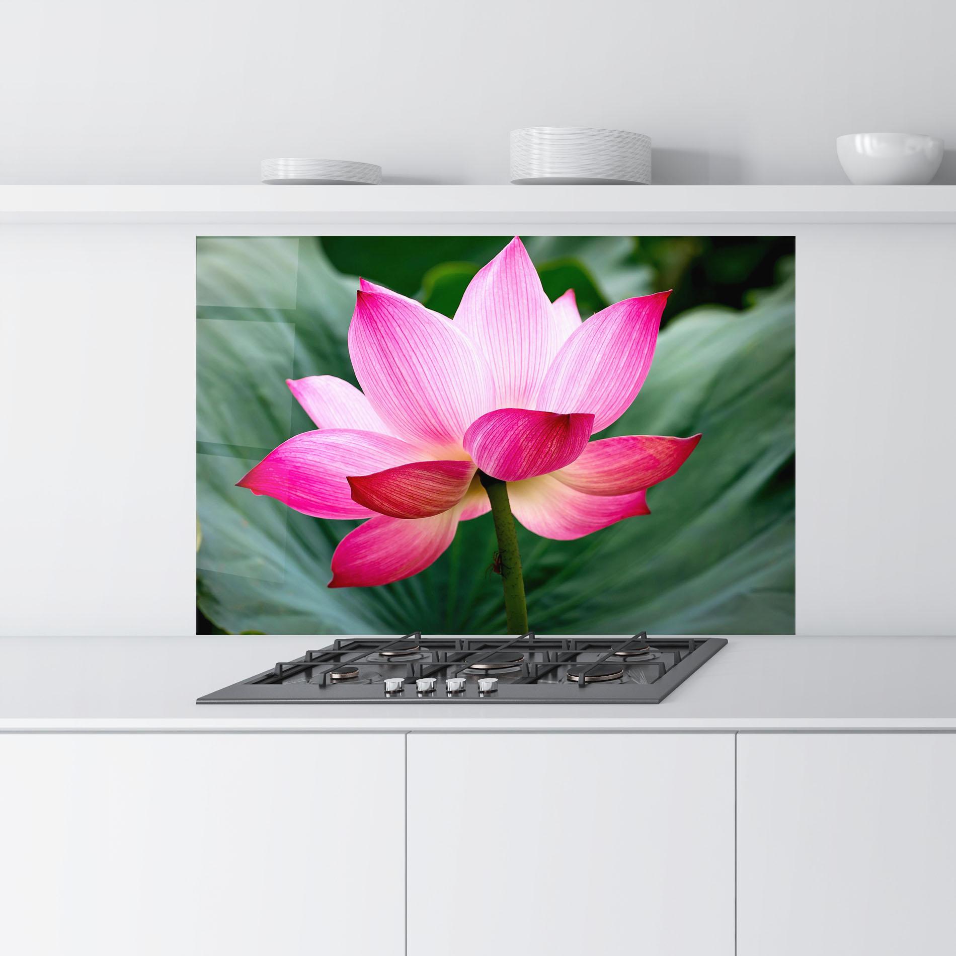 Konyhai üveg hátfal Beautiful Pink Exotic mockup 9