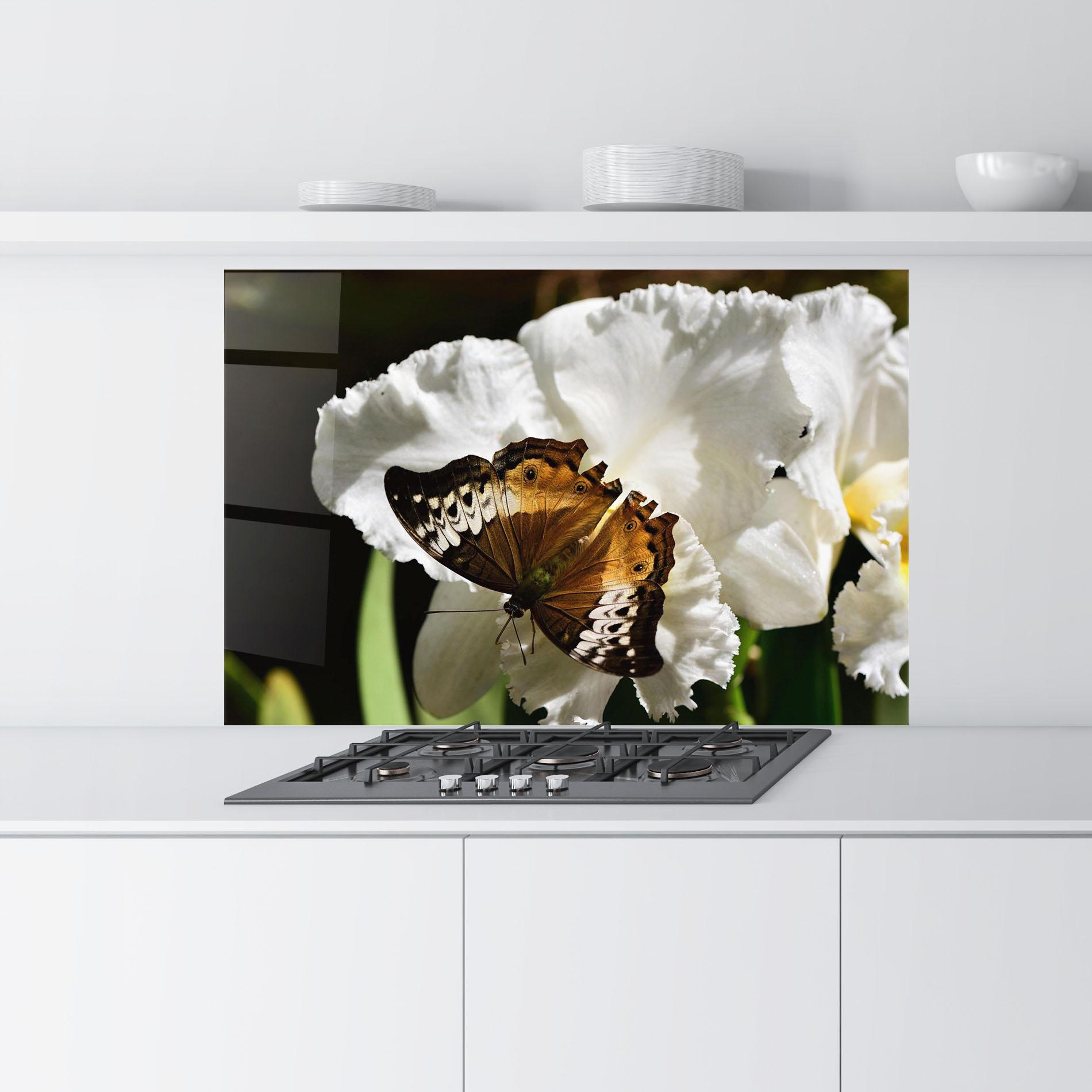 Konyhai üveg hátfal Butterfly Exotic Plant mockup 9