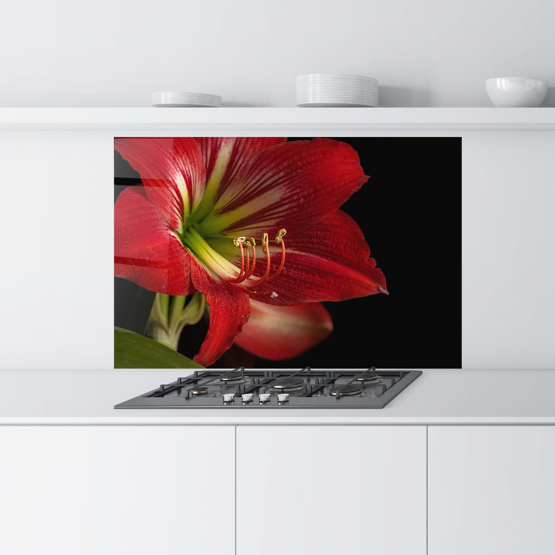 Konyhai üveg hátfal Exotic Red Lily mockup 9