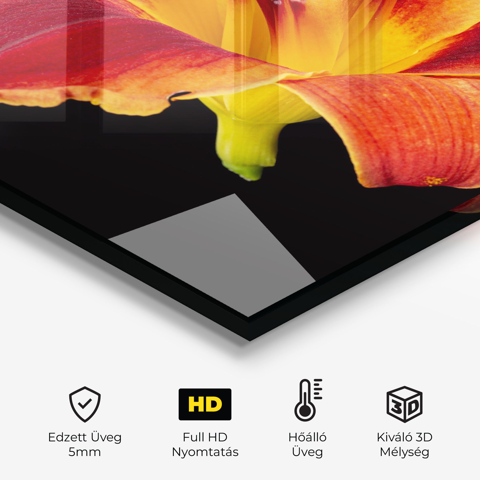 Exotic Orange Red mockup 2