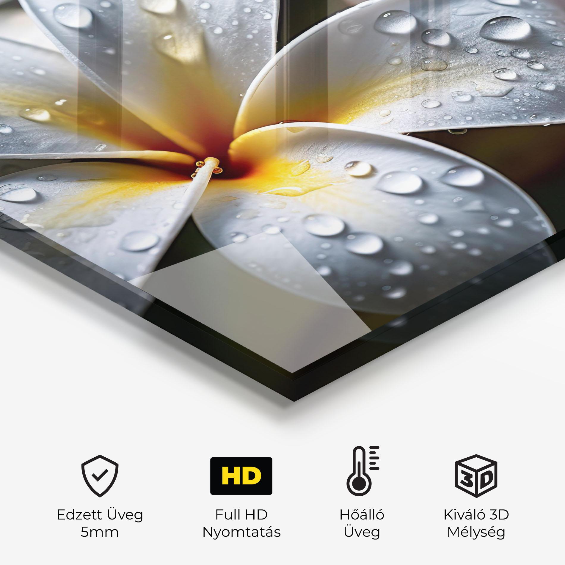 Konyhai üveg hátfal Rainy White Exotic mockup 2