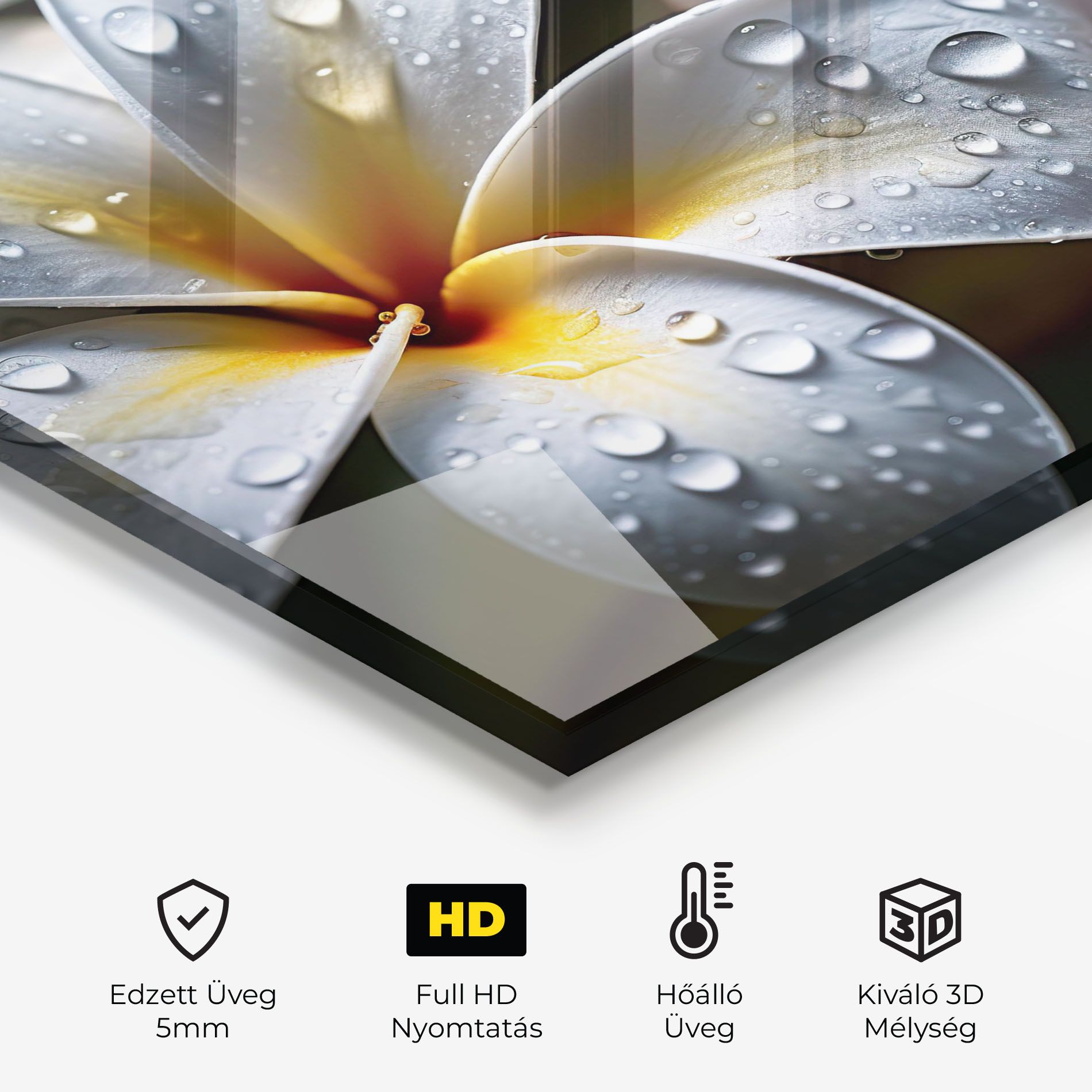 Rainy White Exotic mockup 2